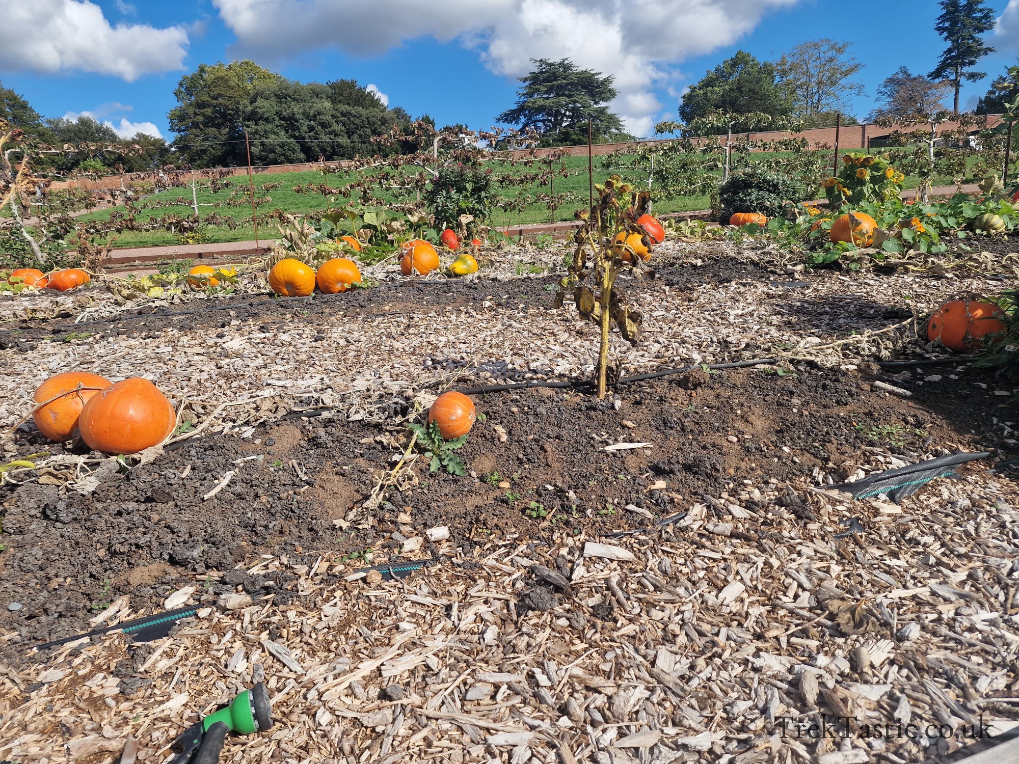 Walled Gardens at Croome Court gallery image 8