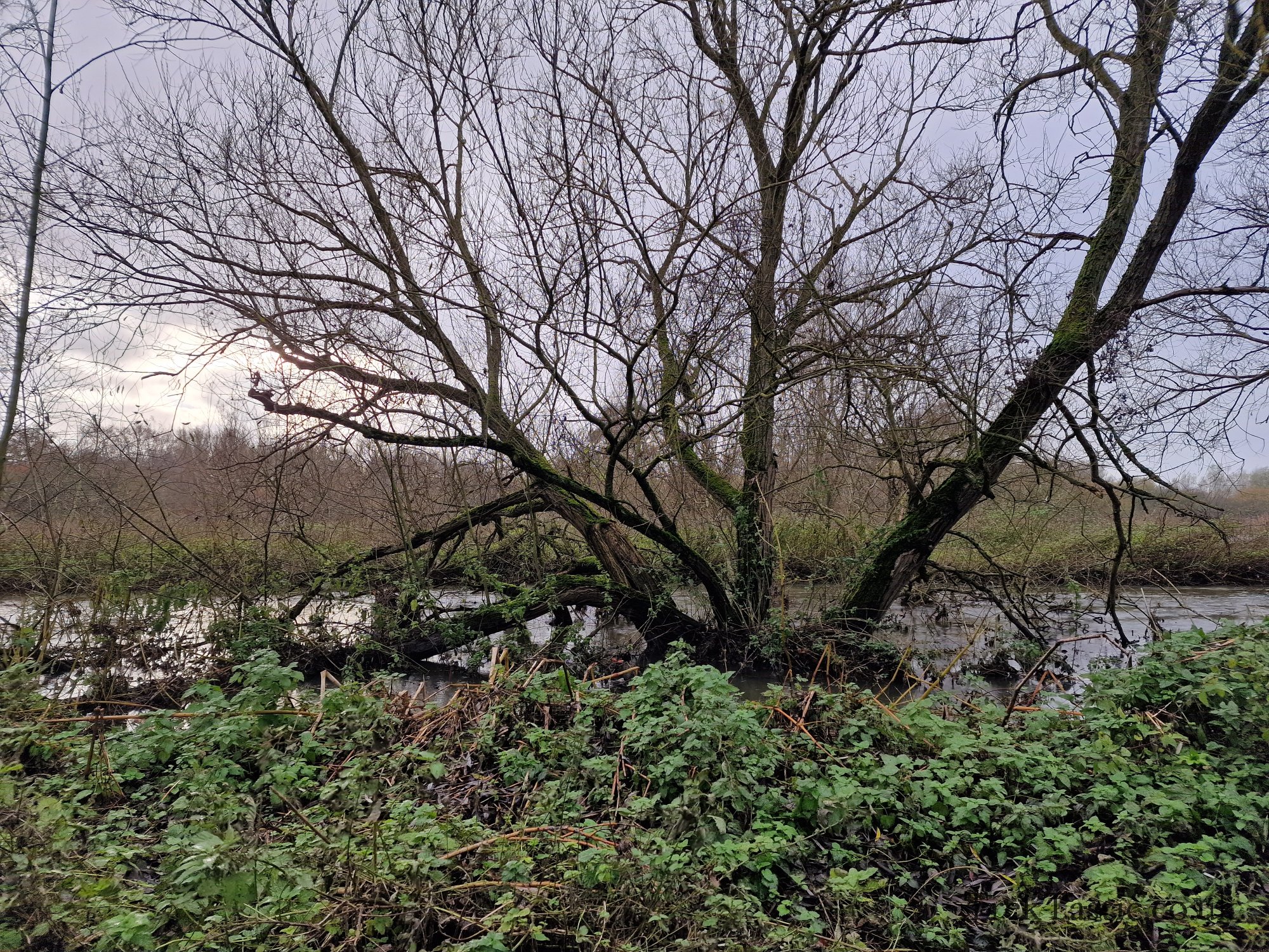 Watermead Country Park gallery image 10