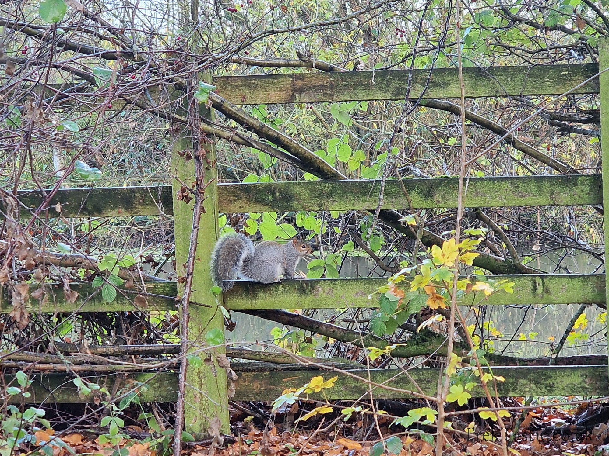 Watermead Country Park gallery image 16
