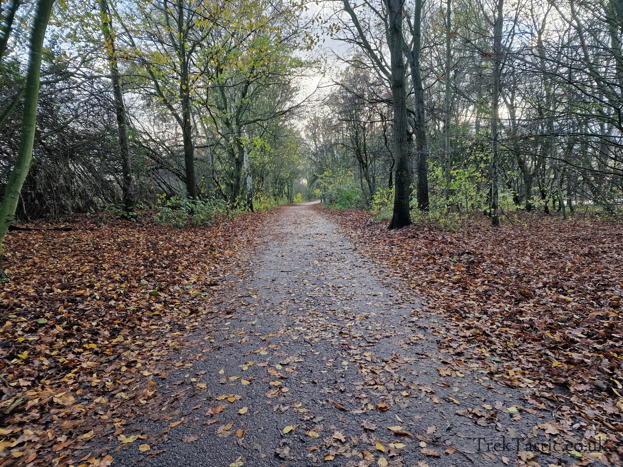 Watermead Country Park gallery image 17
