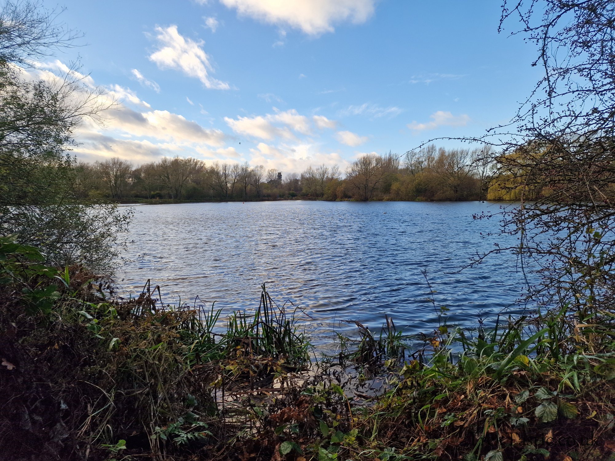 Watermead Country Park gallery image 18