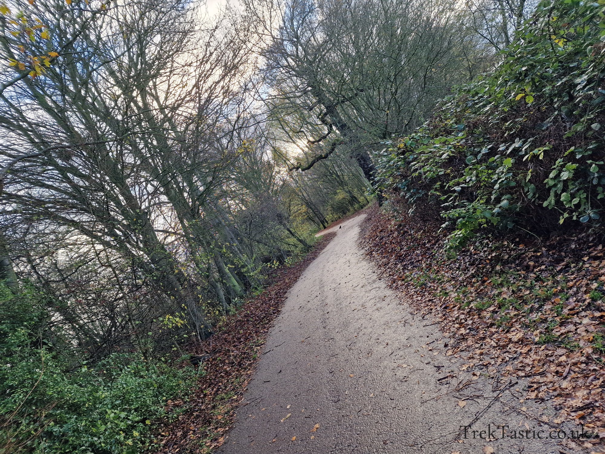 Watermead Country Park gallery image 19