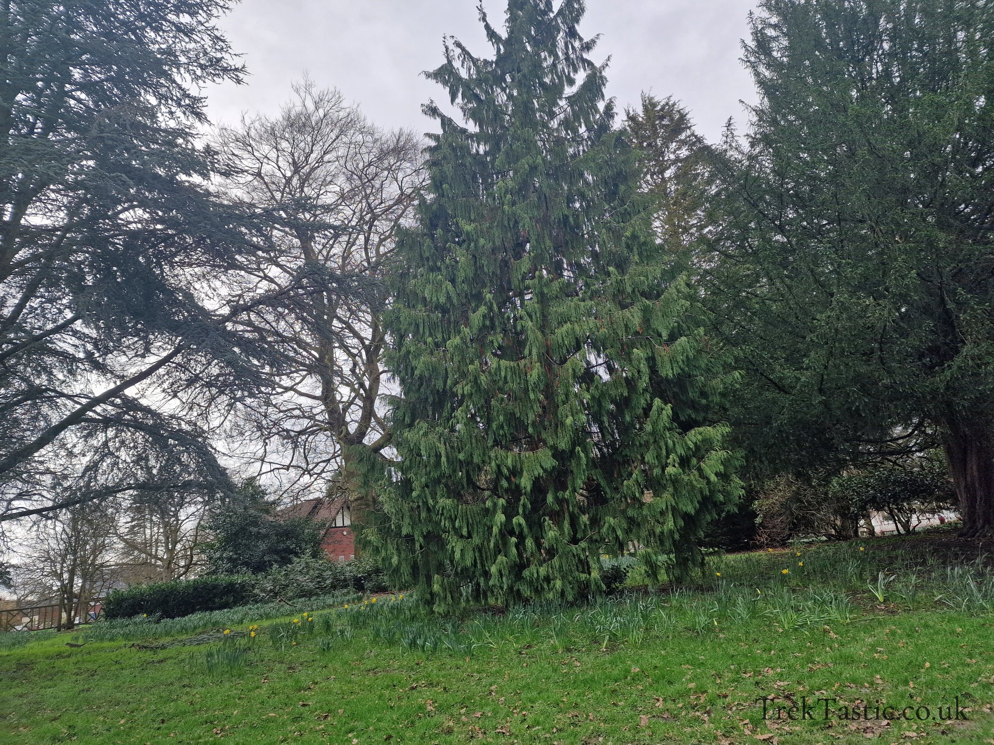West Park gallery image 6