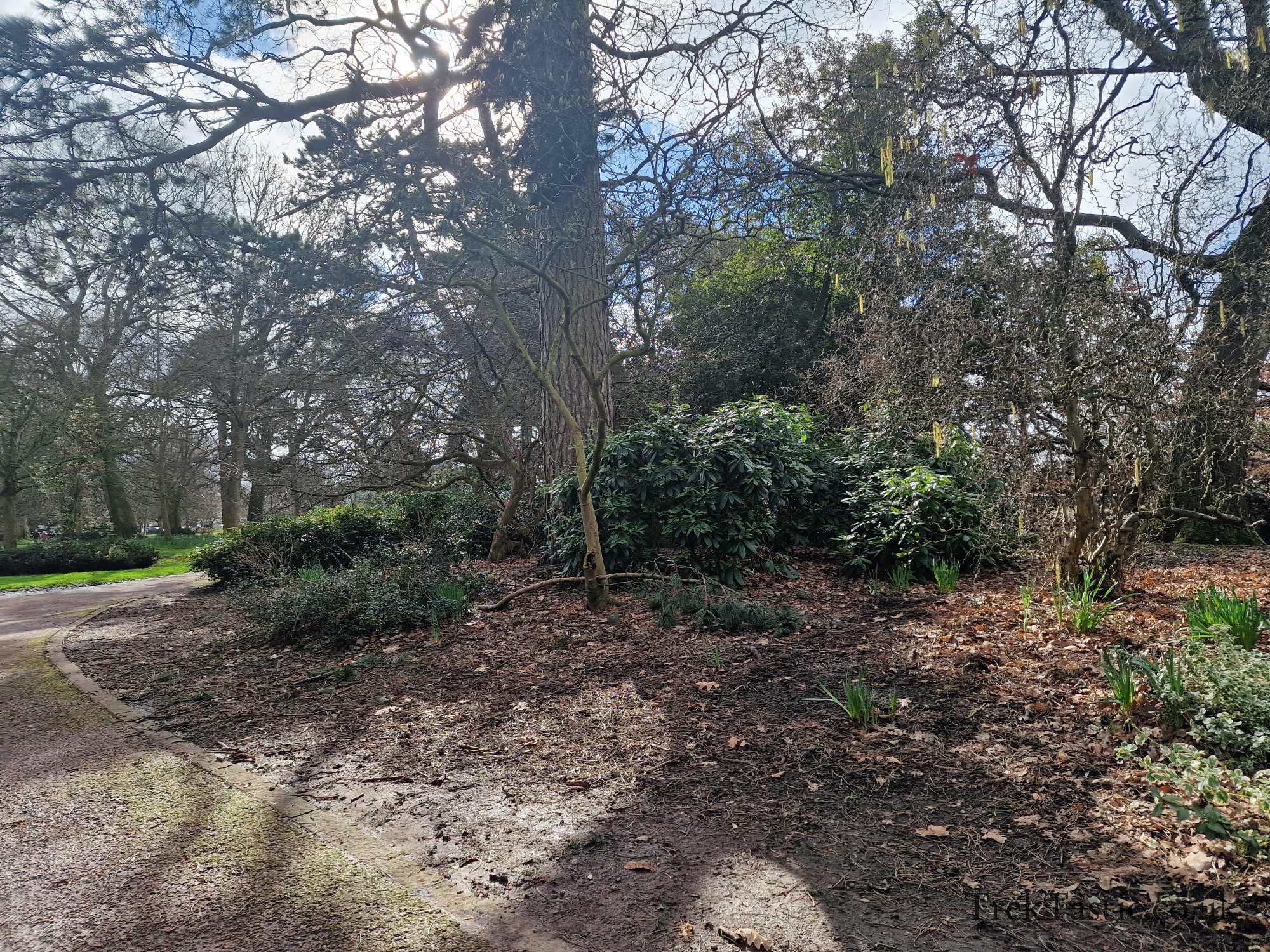 West Park gallery image 13