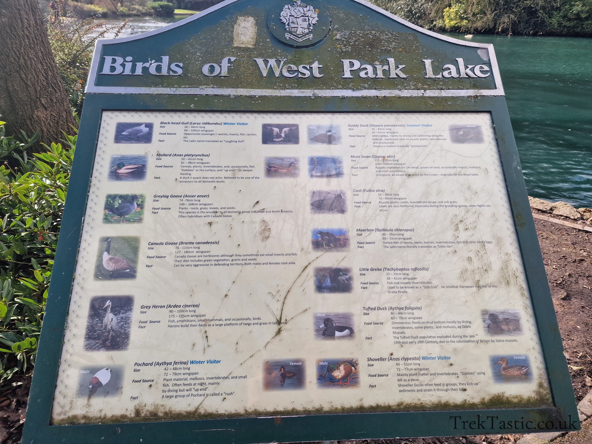 West Park gallery image 15