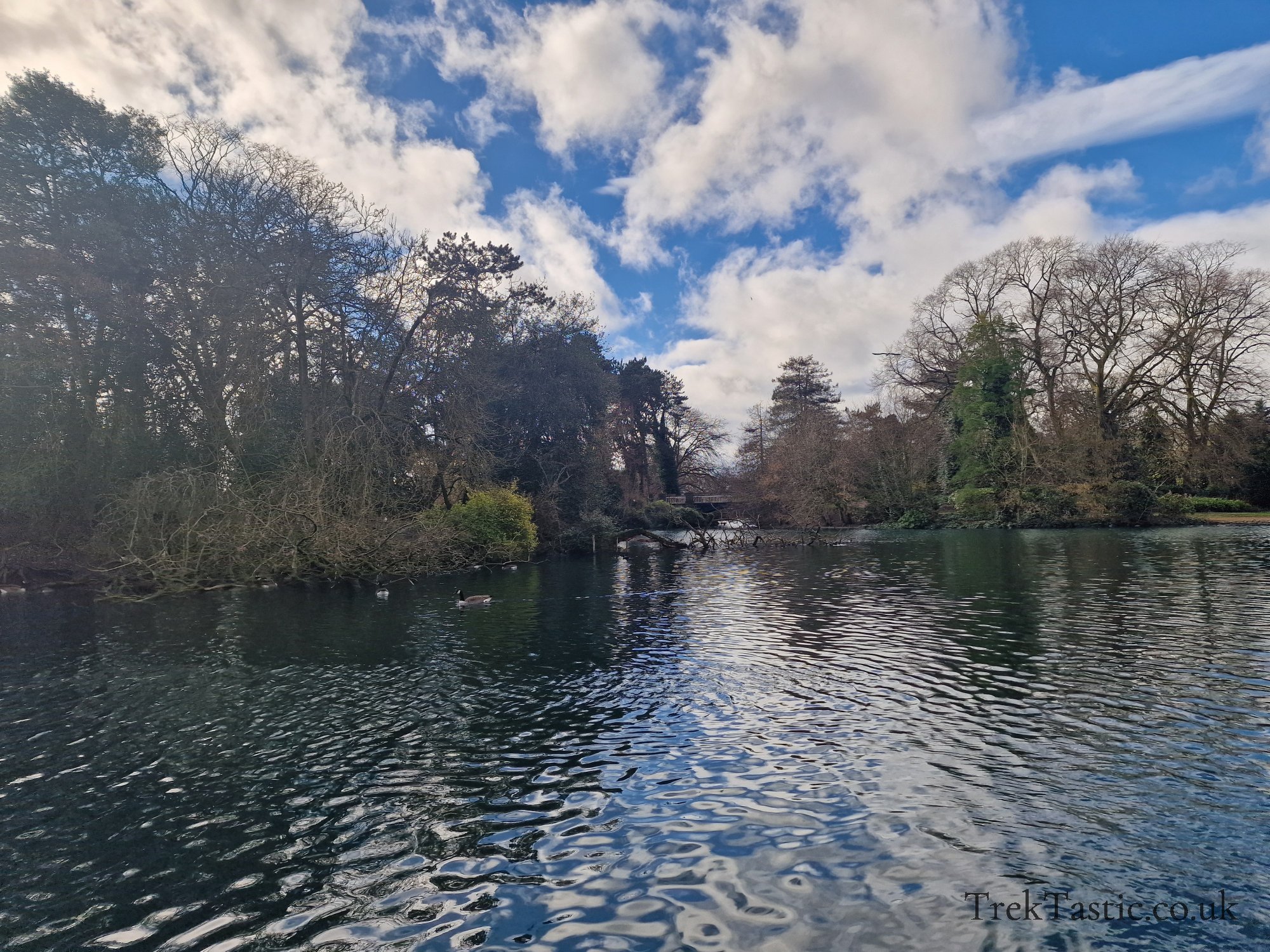 West Park gallery image 16
