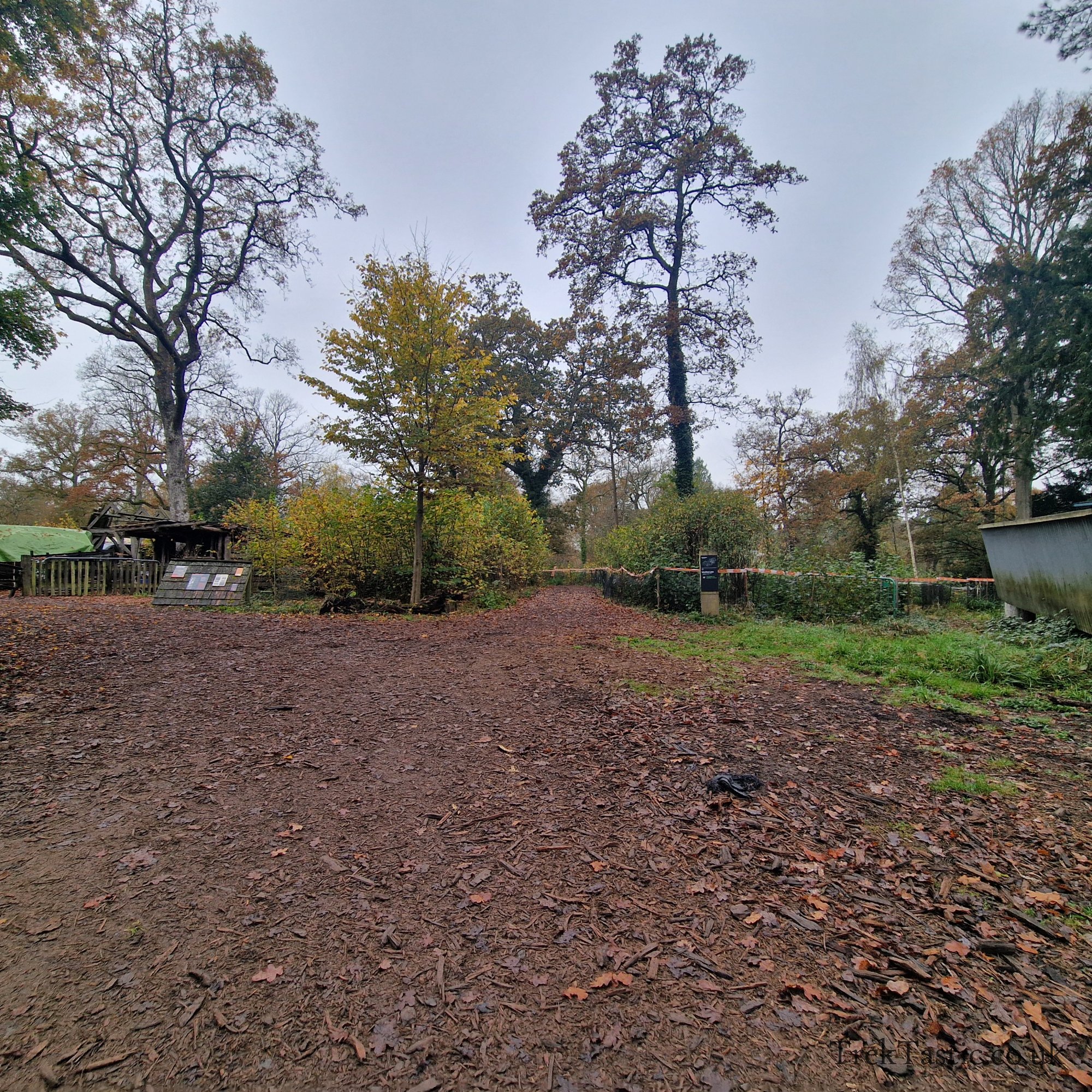Westonbirt Arboretum gallery image 2
