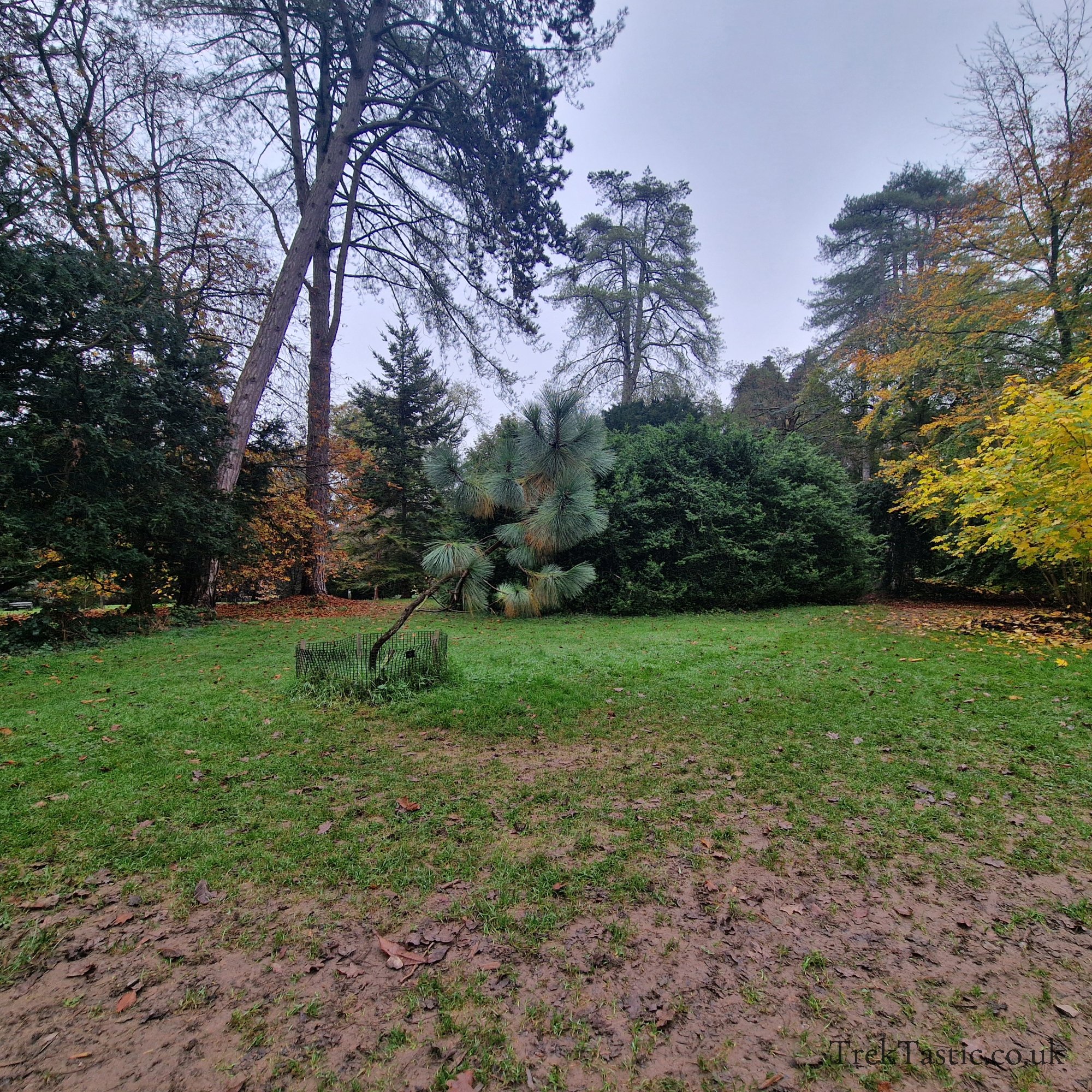 Westonbirt Arboretum gallery image 3