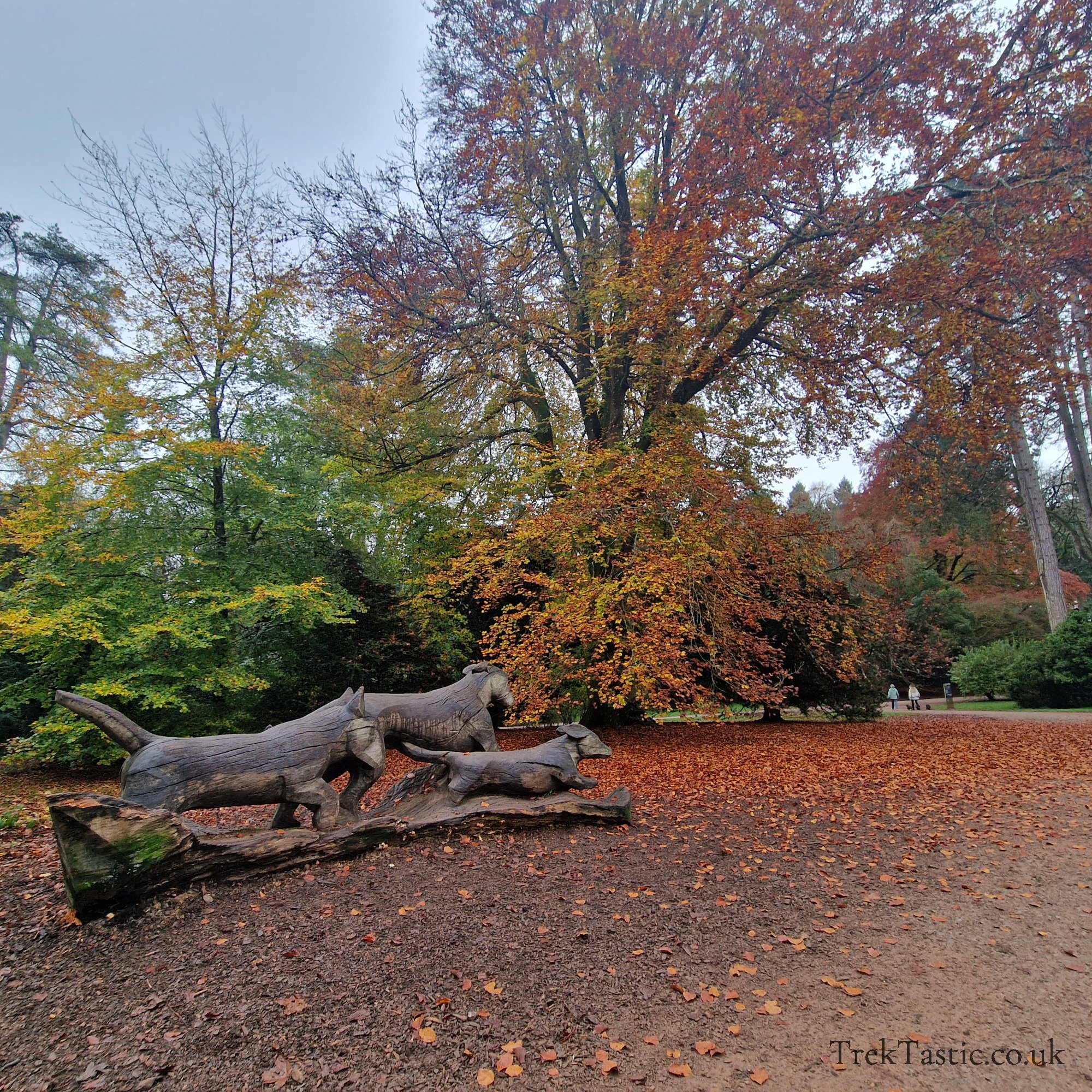 Westonbirt Arboretum