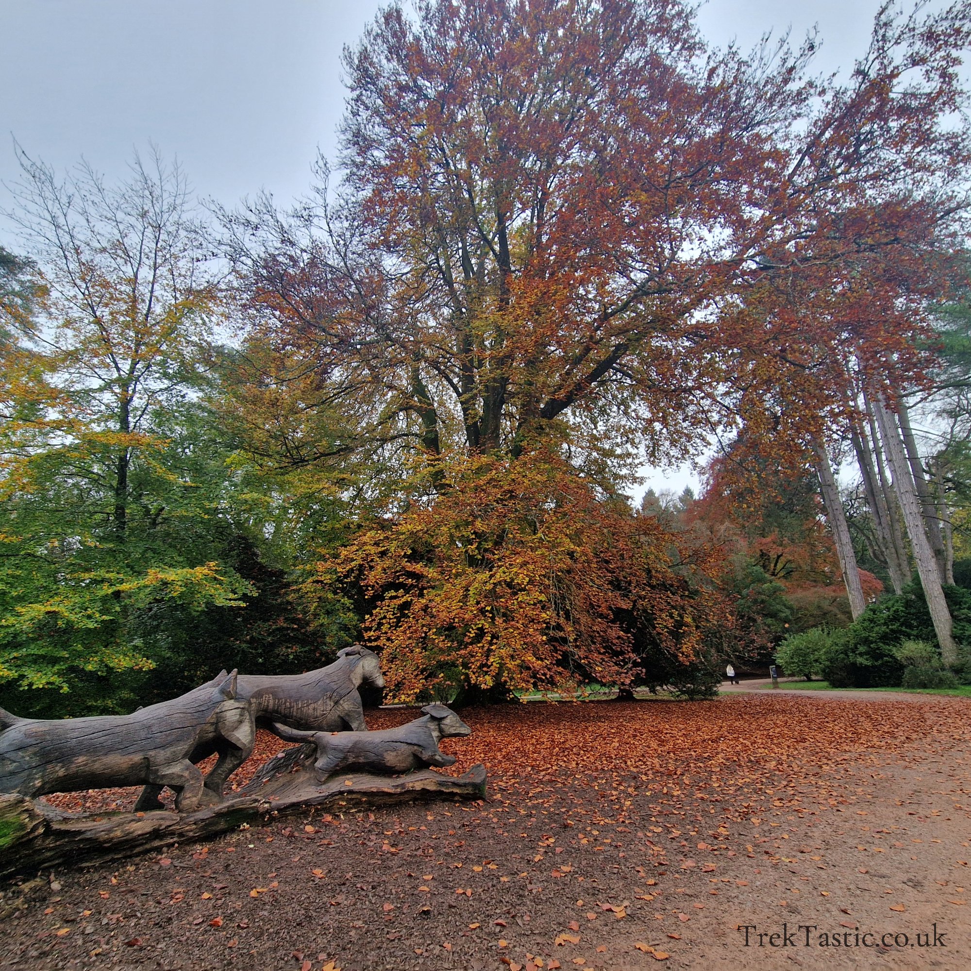 Westonbirt Arboretum gallery image 4