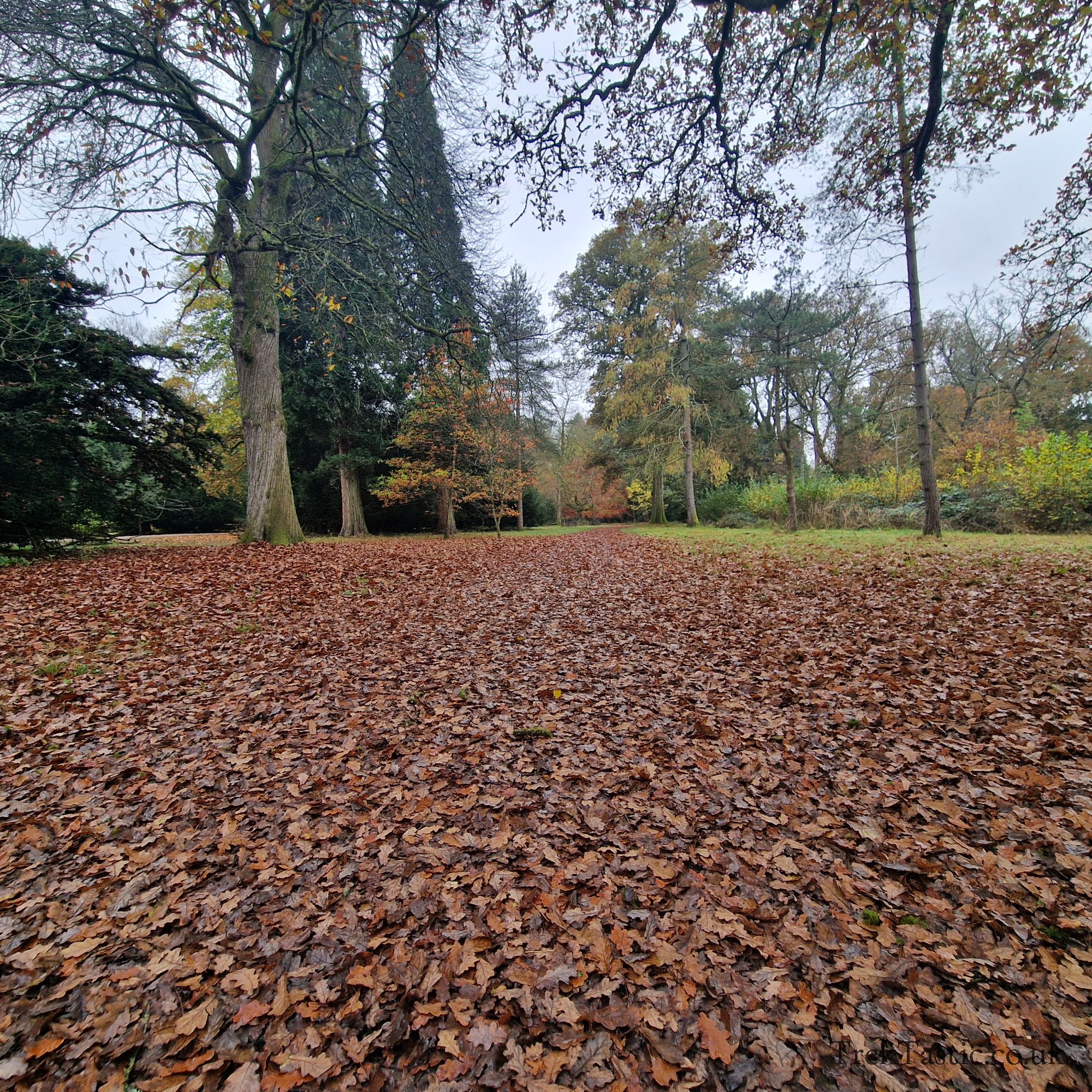 Westonbirt Arboretum gallery image 12