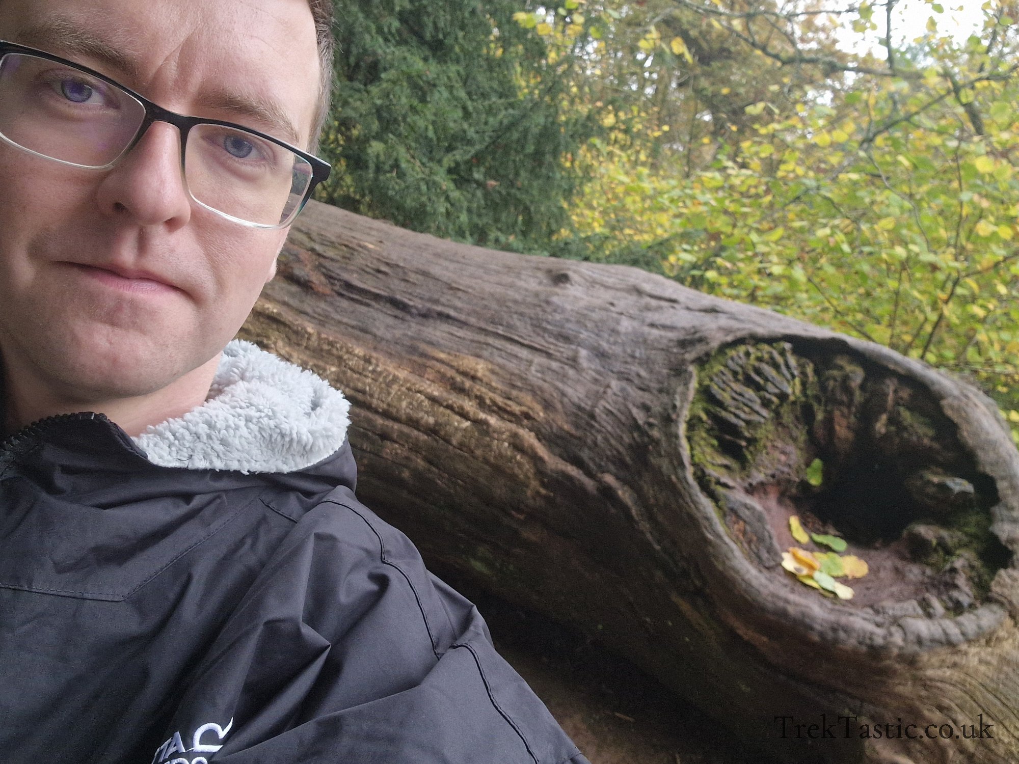 Westonbirt Arboretum gallery image 26