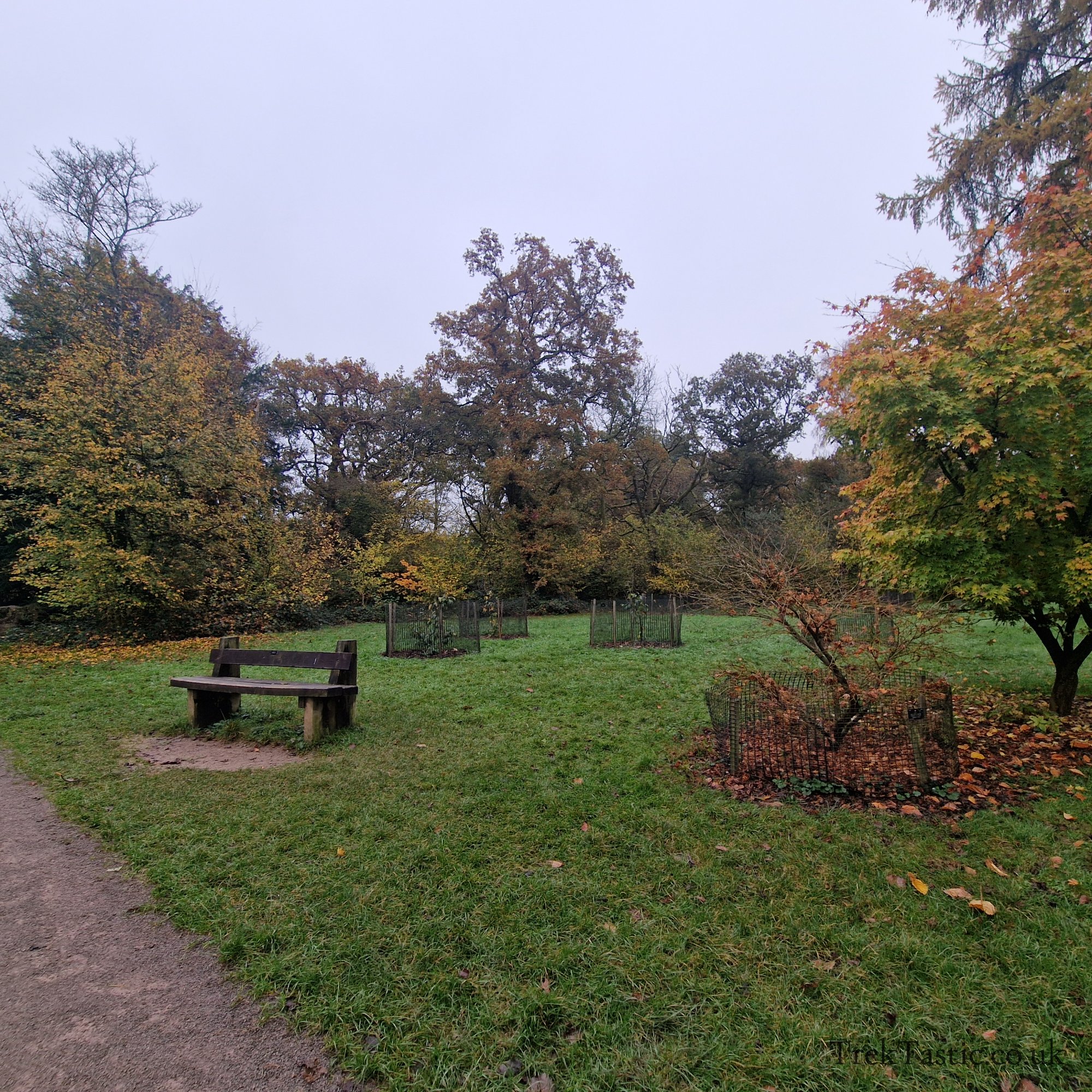Westonbirt Arboretum gallery image 27