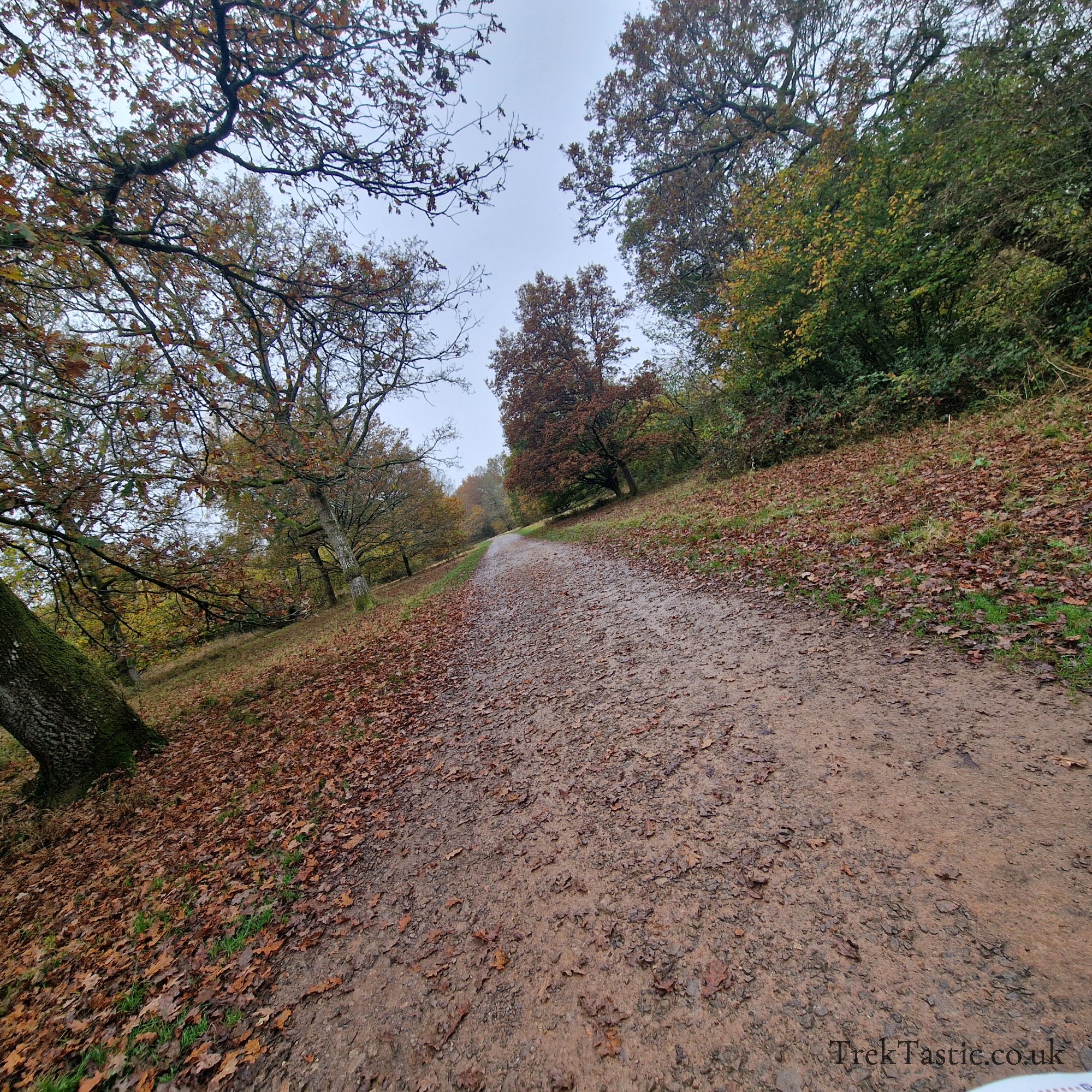Westonbirt Arboretum gallery image 31