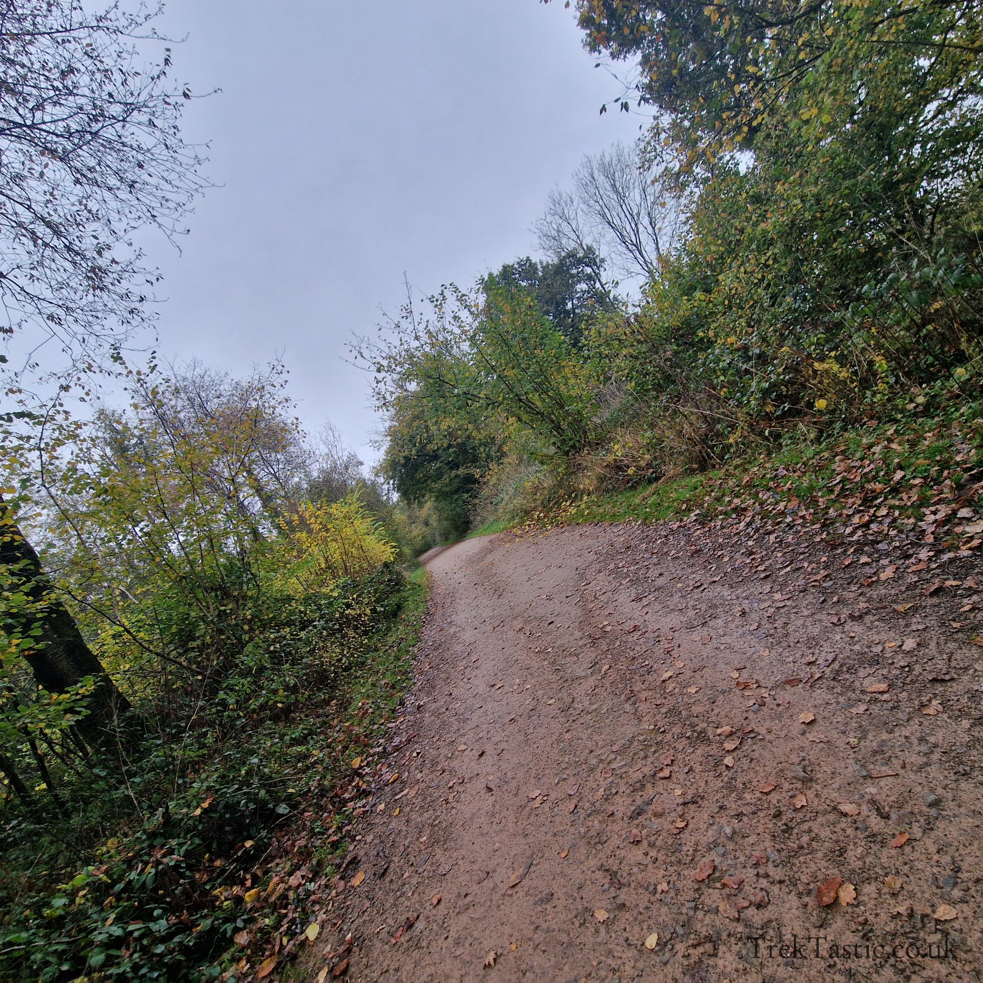 Westonbirt Arboretum gallery image 38