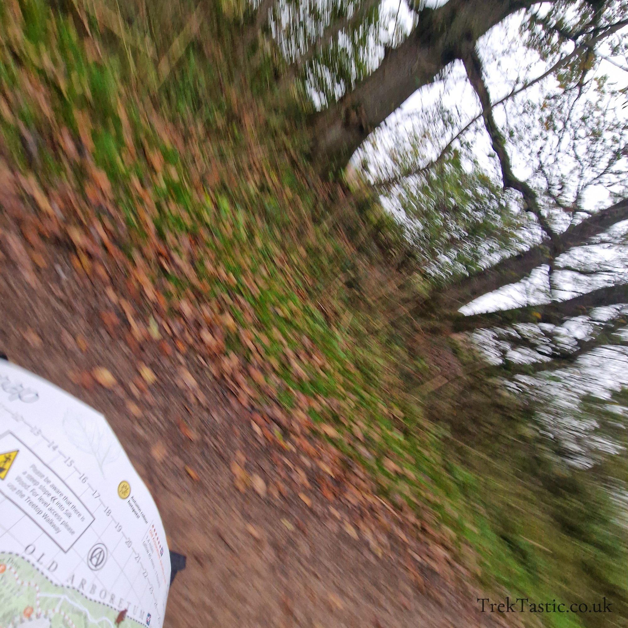 Westonbirt Arboretum gallery image 39