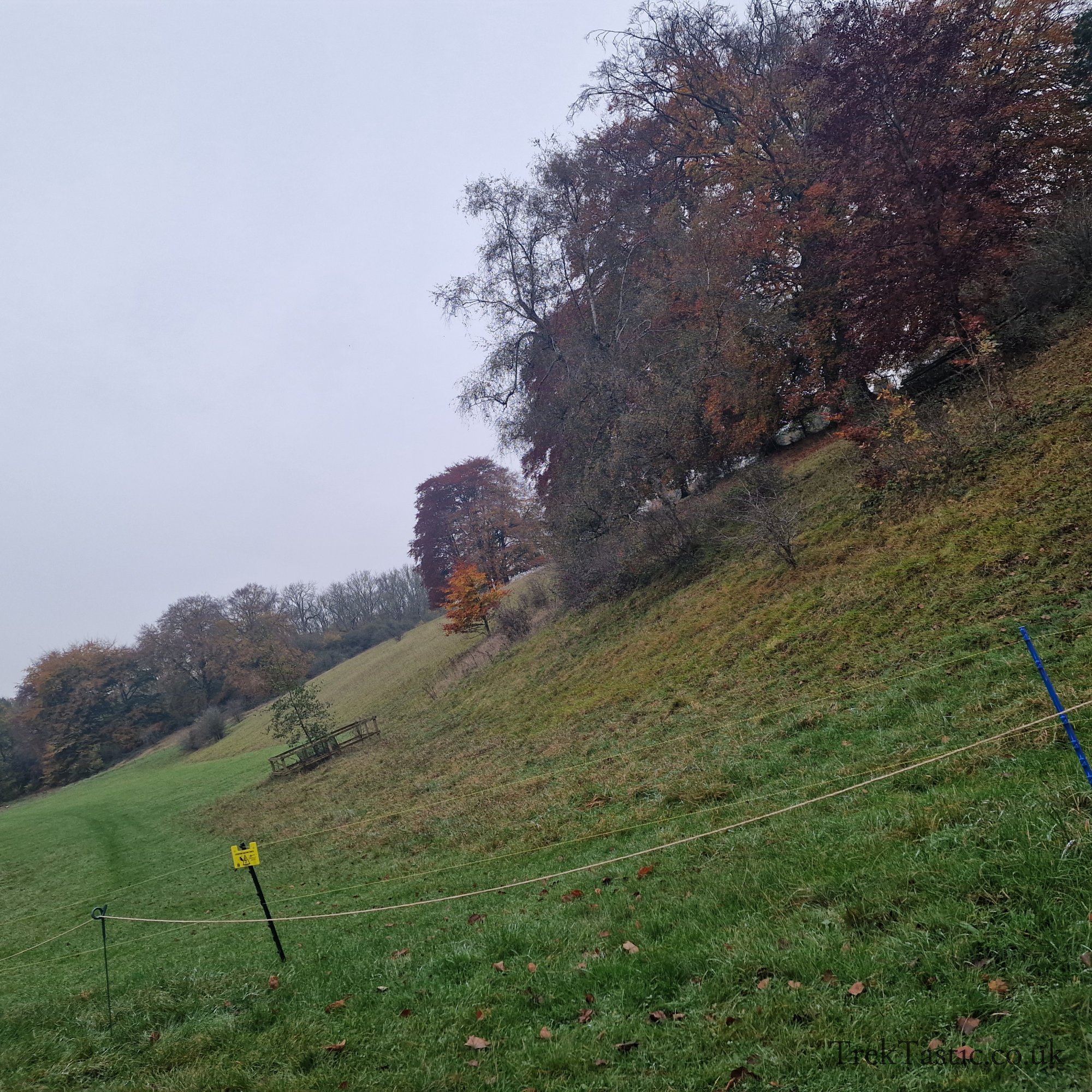 Westonbirt Arboretum gallery image 49