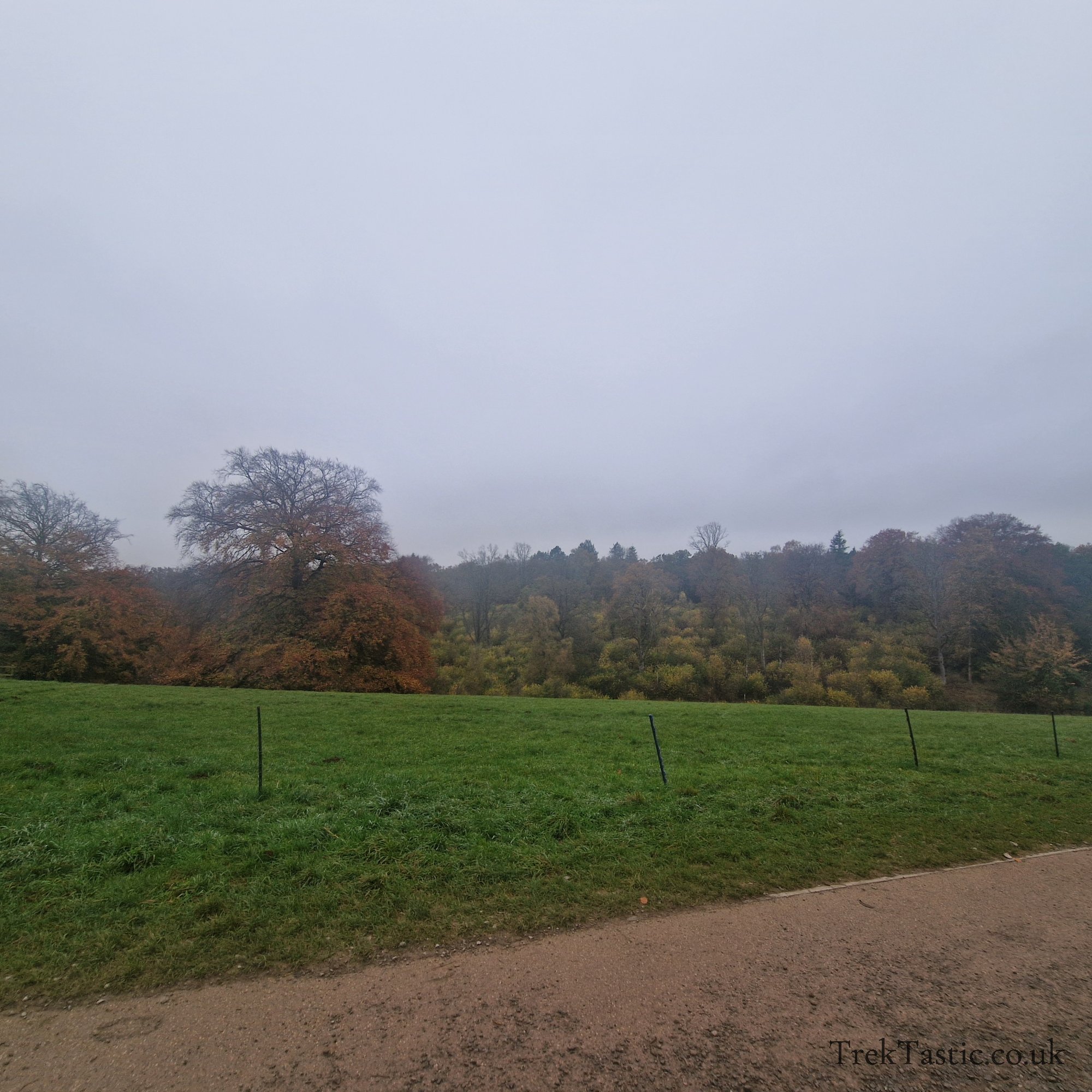 Westonbirt Arboretum gallery image 52