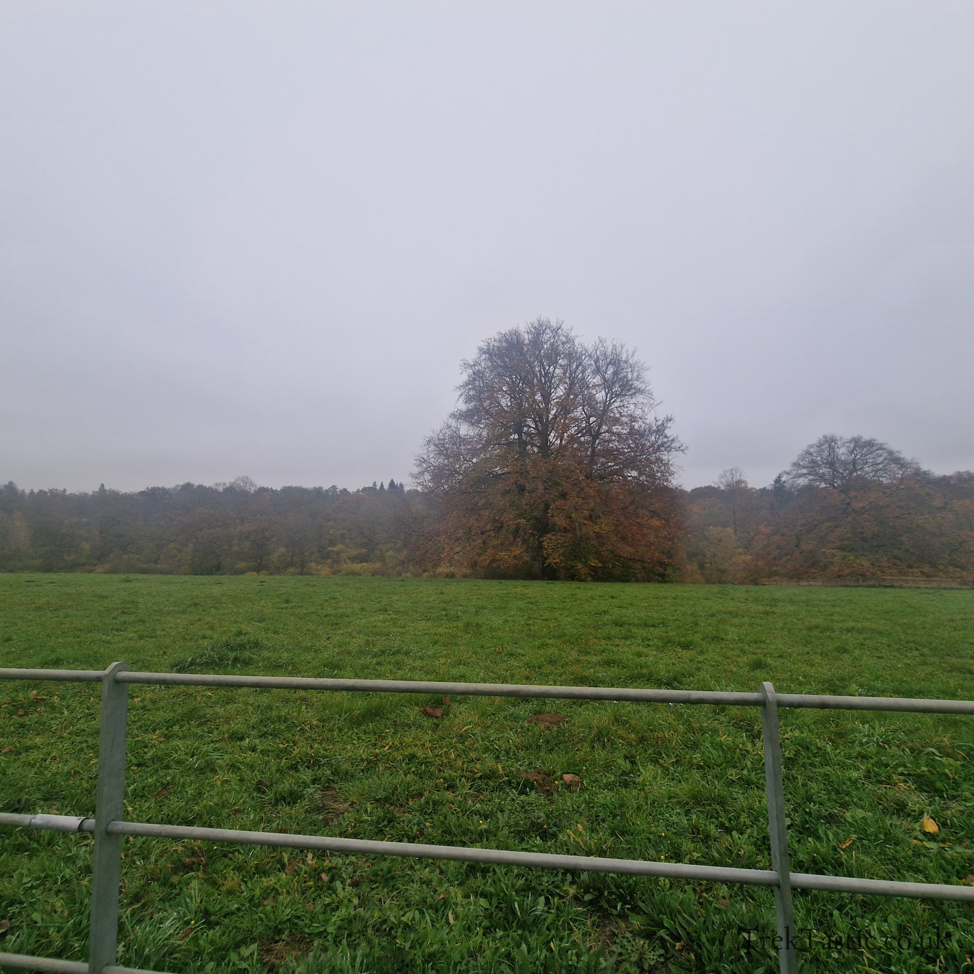 Westonbirt Arboretum gallery image 53