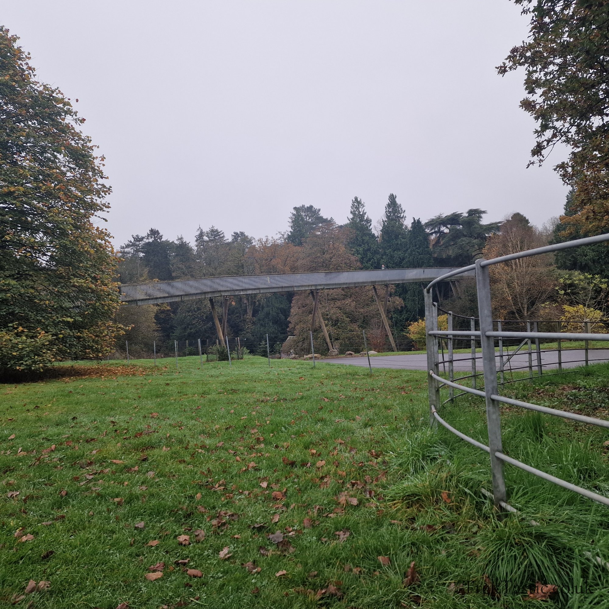 Westonbirt Arboretum gallery image 54