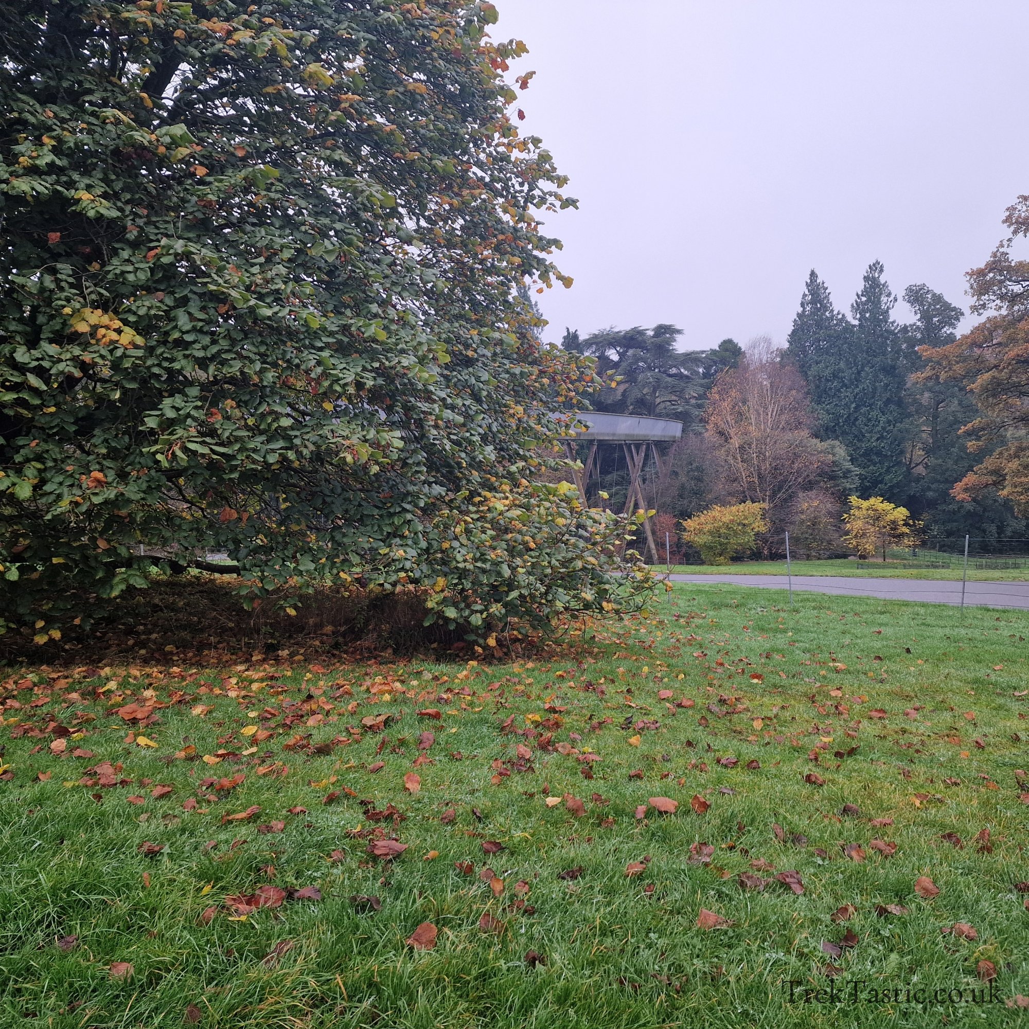 Westonbirt Arboretum gallery image 55
