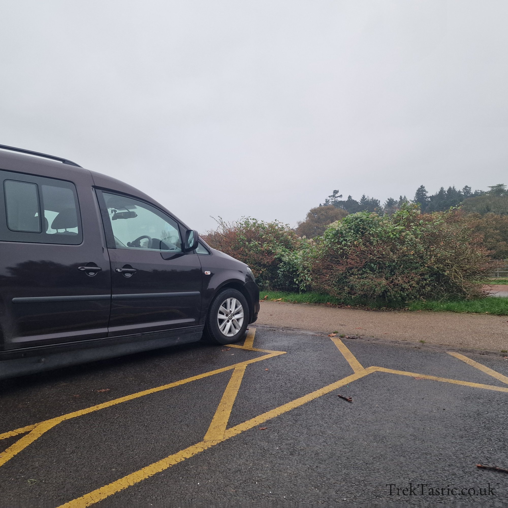 Westonbirt Arboretum gallery image 56