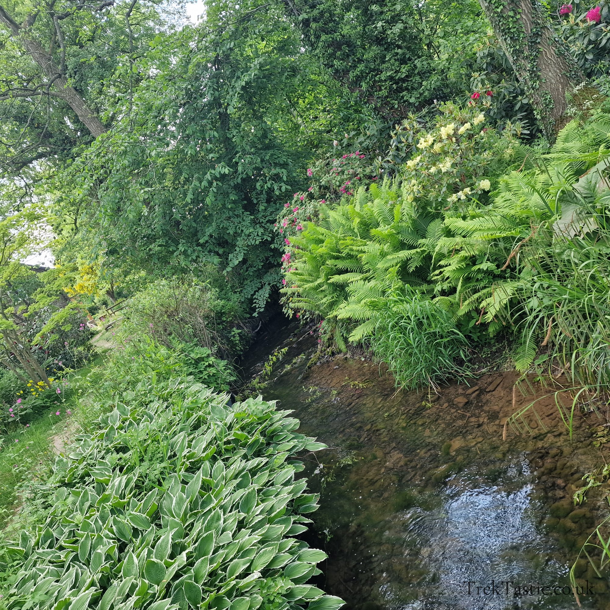 Westonbury Mill Water Gardens gallery image 2