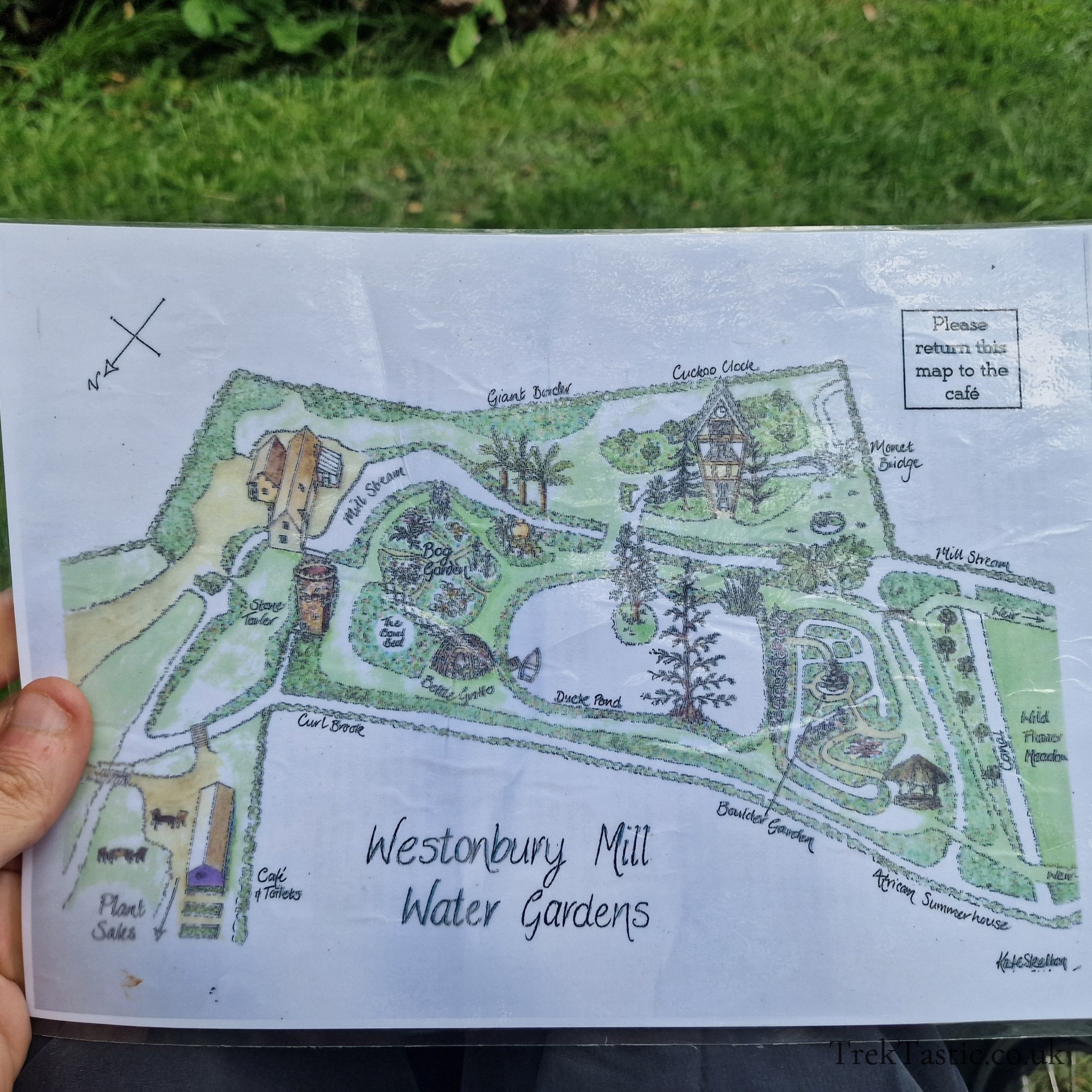 Westonbury Mill Water Gardens gallery image 4