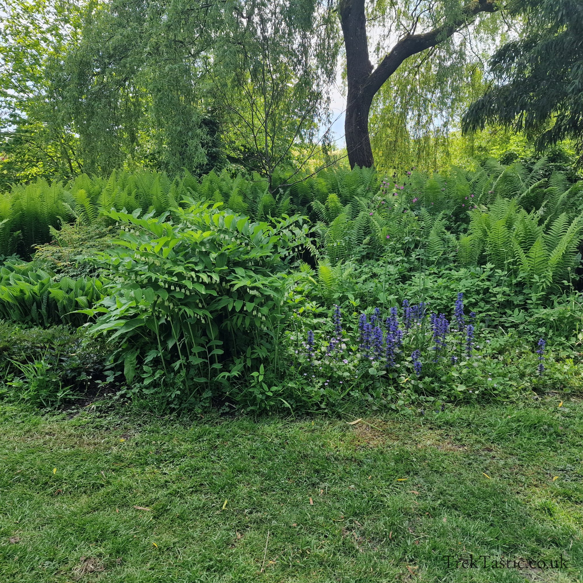 Westonbury Mill Water Gardens gallery image 9