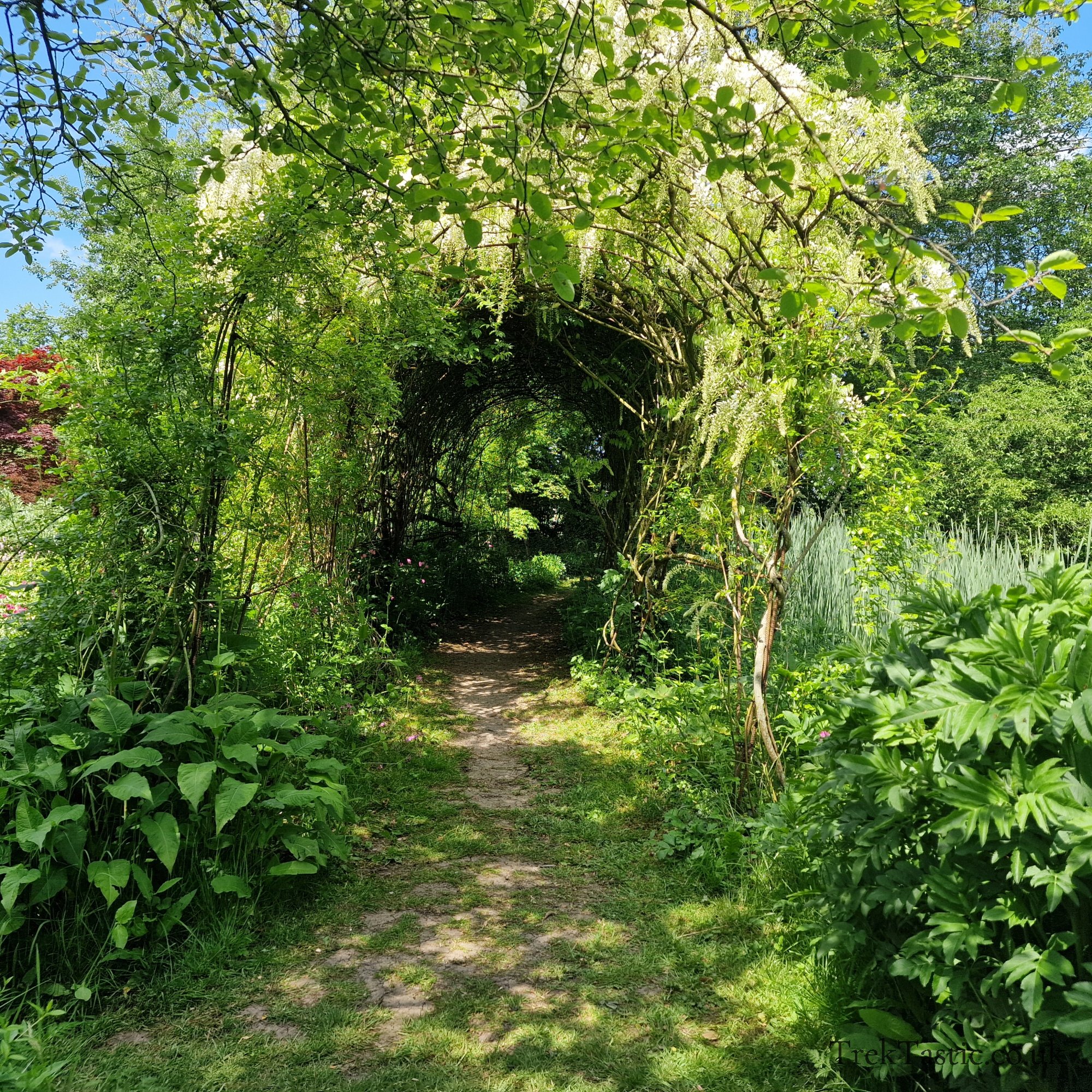 Westonbury Mill Water Gardens gallery image 12