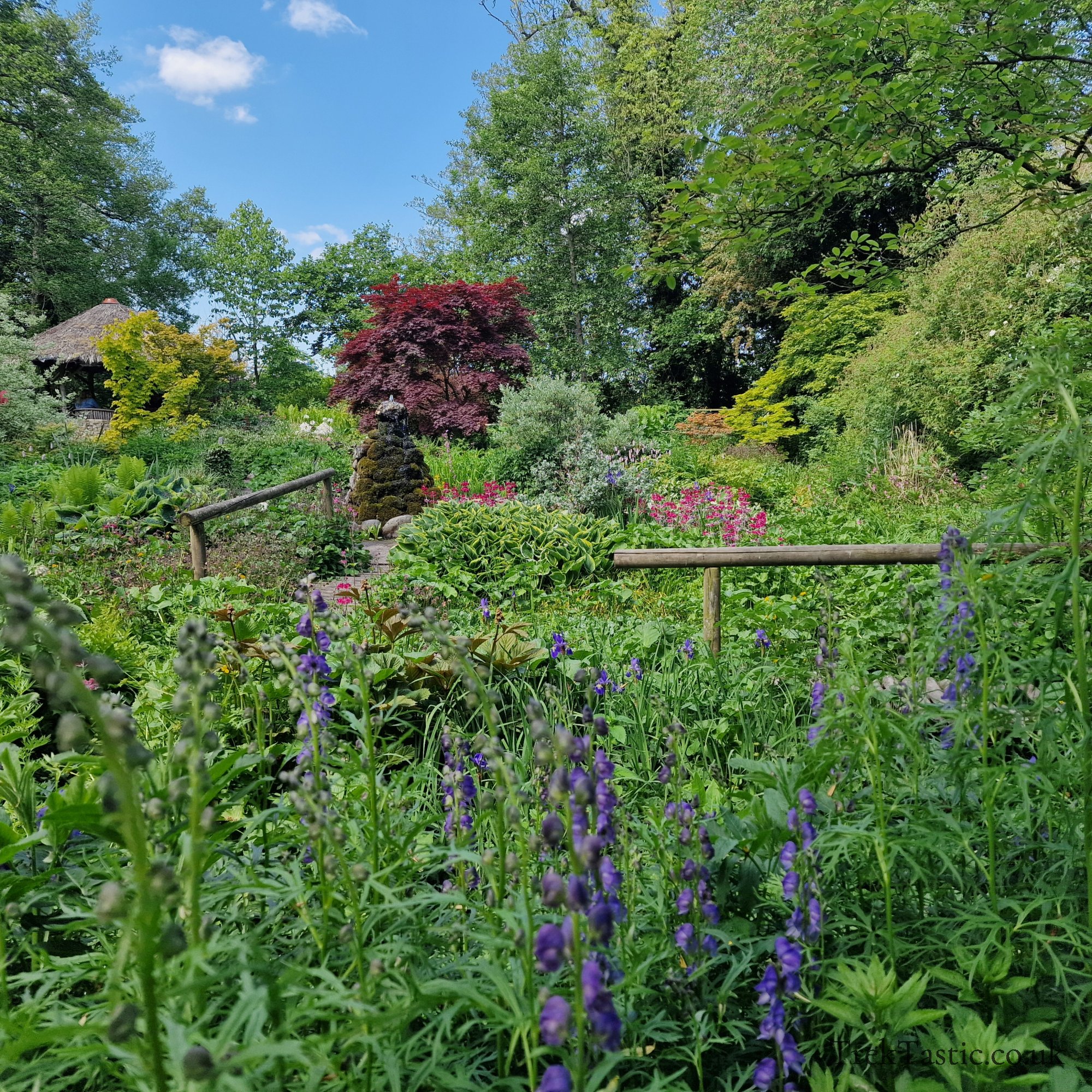 Westonbury Mill Water Gardens gallery image 15