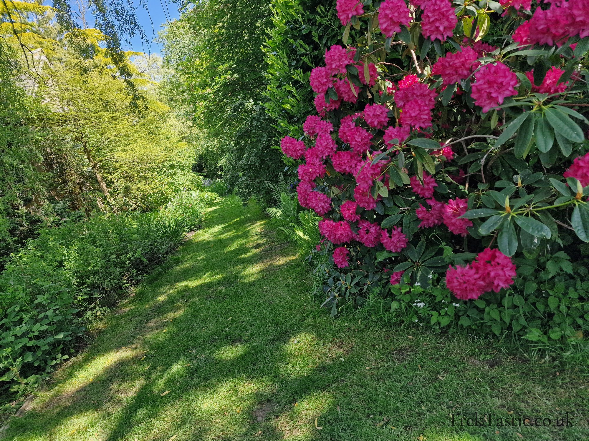 Westonbury Mill Water Gardens gallery image 20