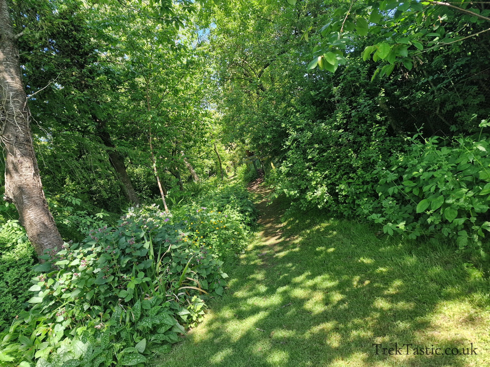 Westonbury Mill Water Gardens gallery image 21