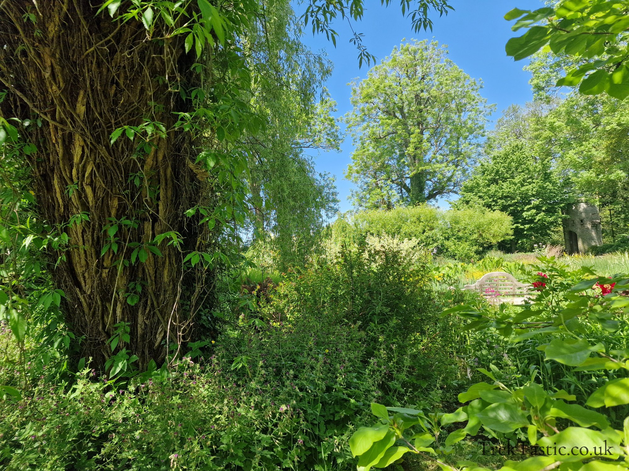 Westonbury Mill Water Gardens gallery image 29