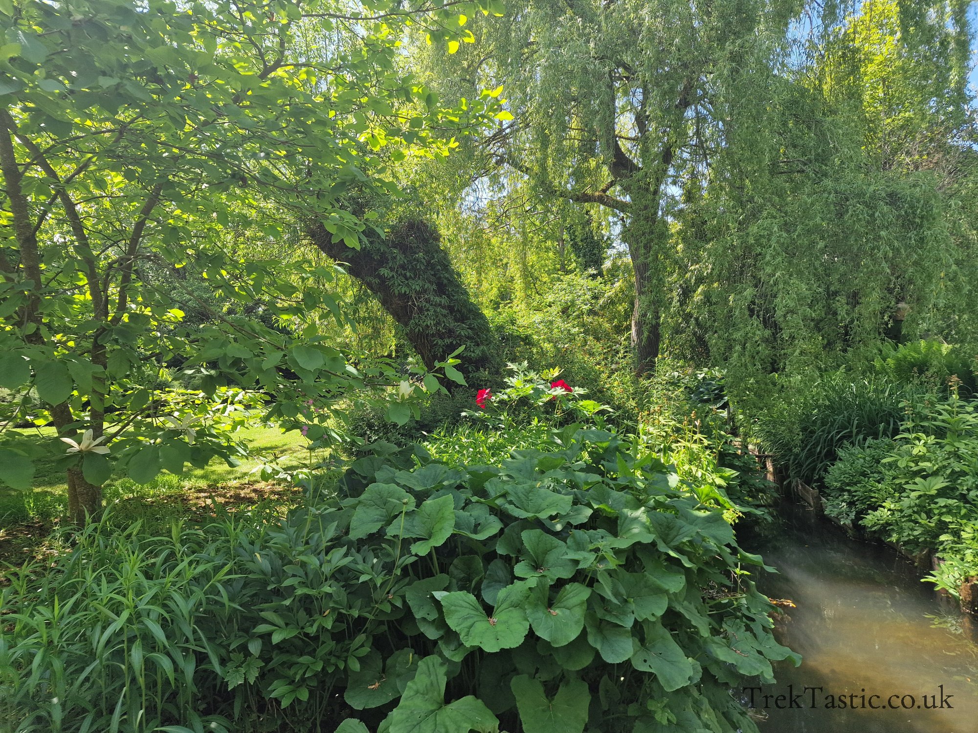 Westonbury Mill Water Gardens gallery image 31