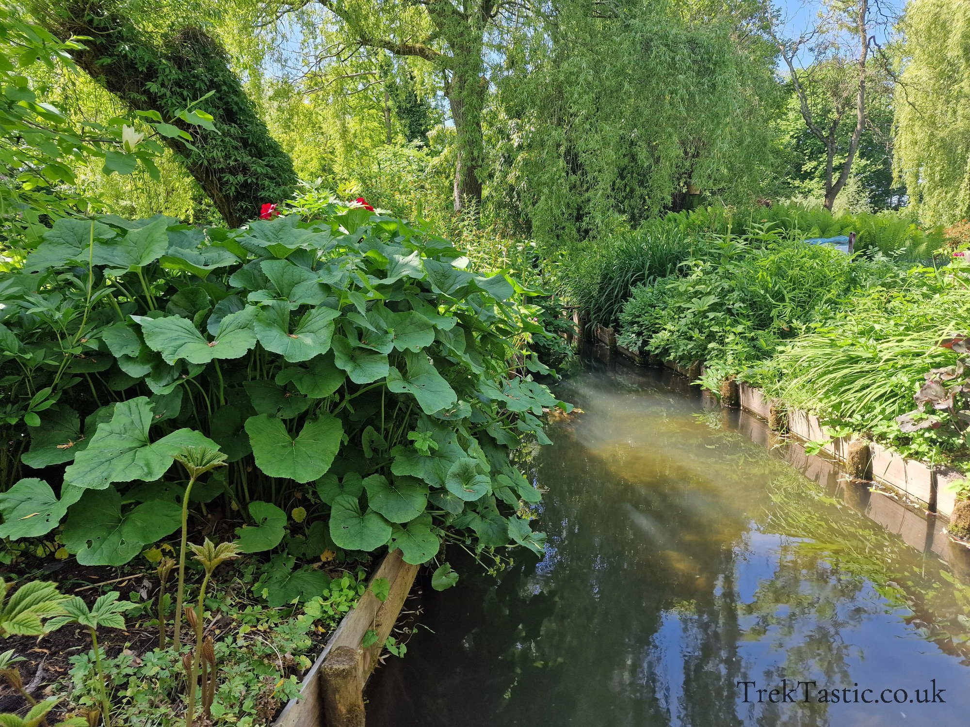 Westonbury Mill Water Gardens gallery image 32