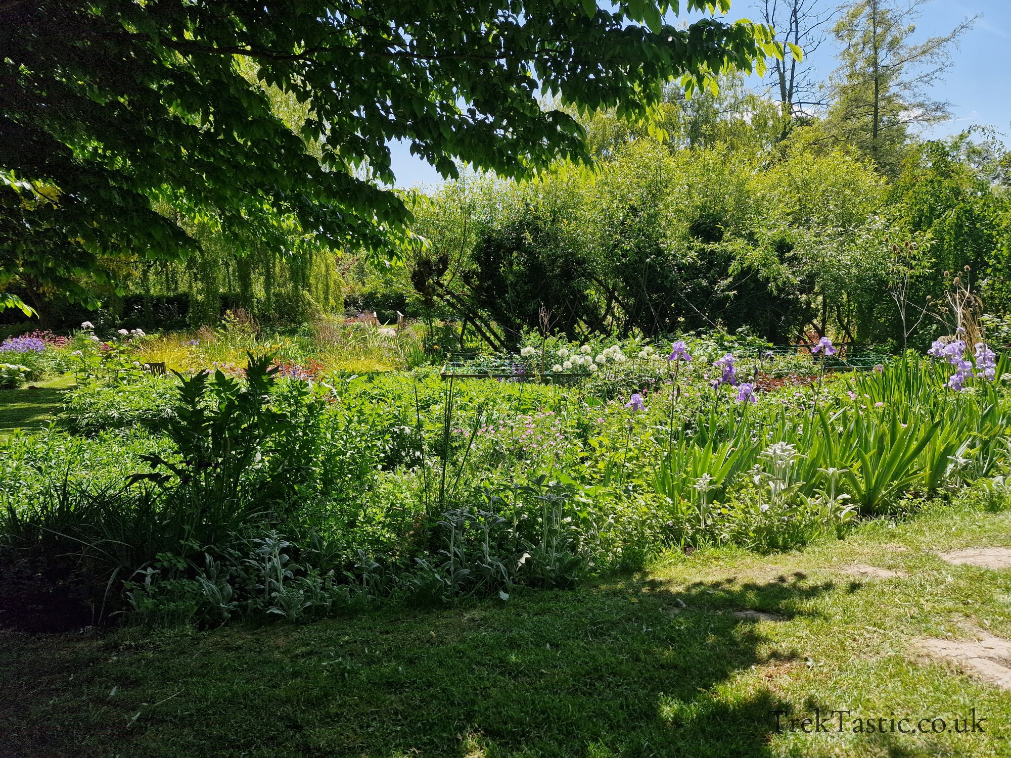 Westonbury Mill Water Gardens gallery image 36