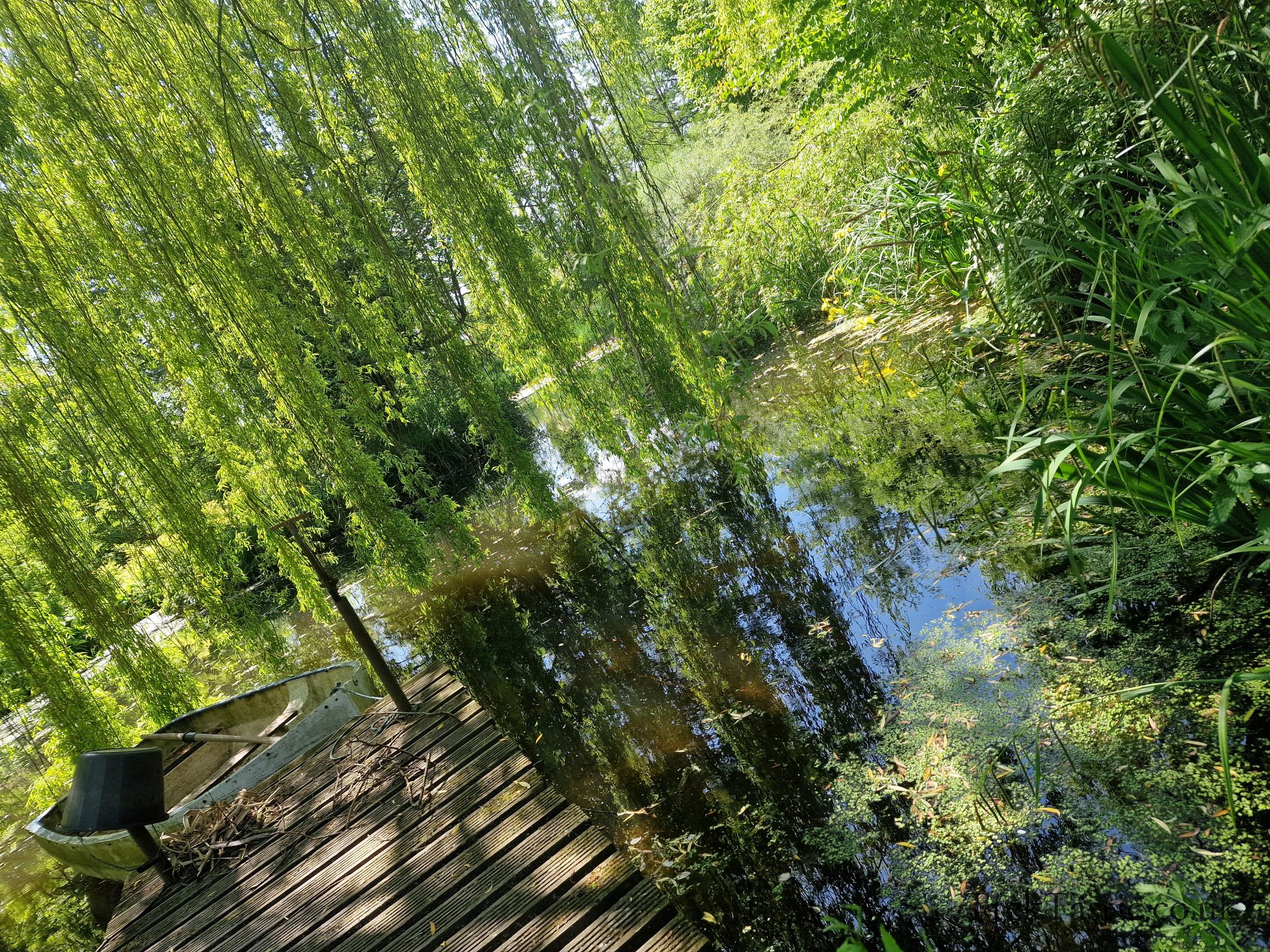 Westonbury Mill Water Gardens gallery image 49