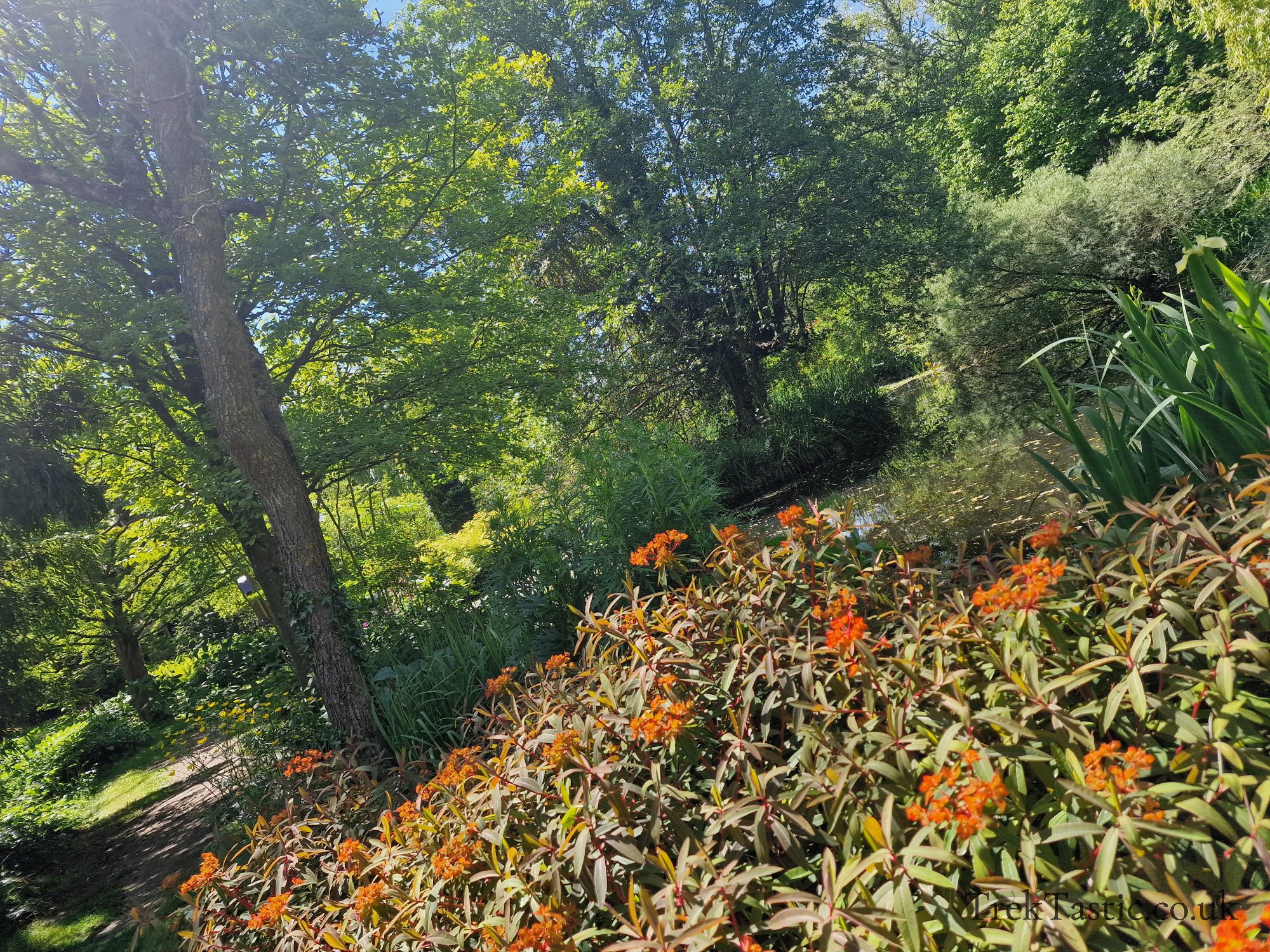 Westonbury Mill Water Gardens gallery image 50