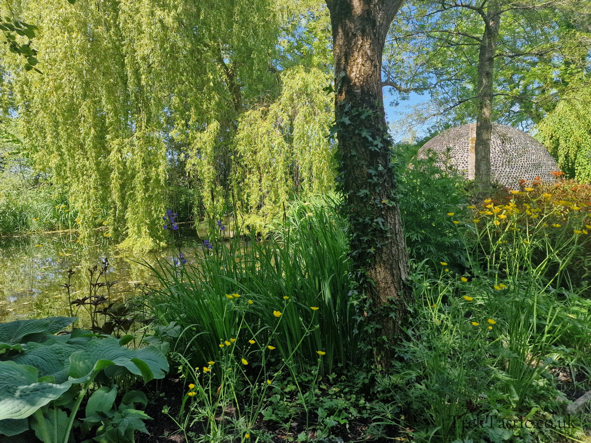 Westonbury Mill Water Gardens gallery image 51