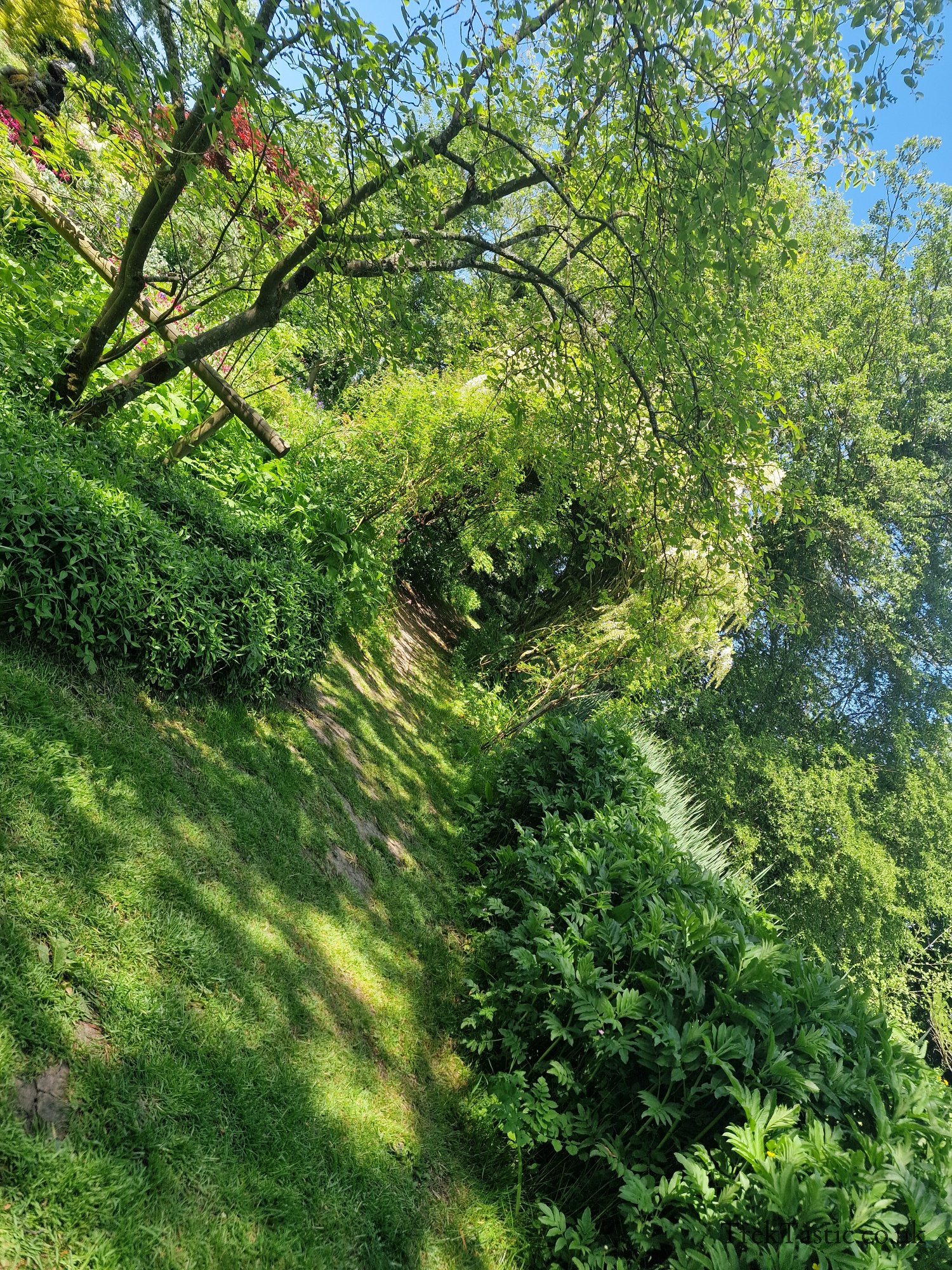 Westonbury Mill Water Gardens gallery image 53