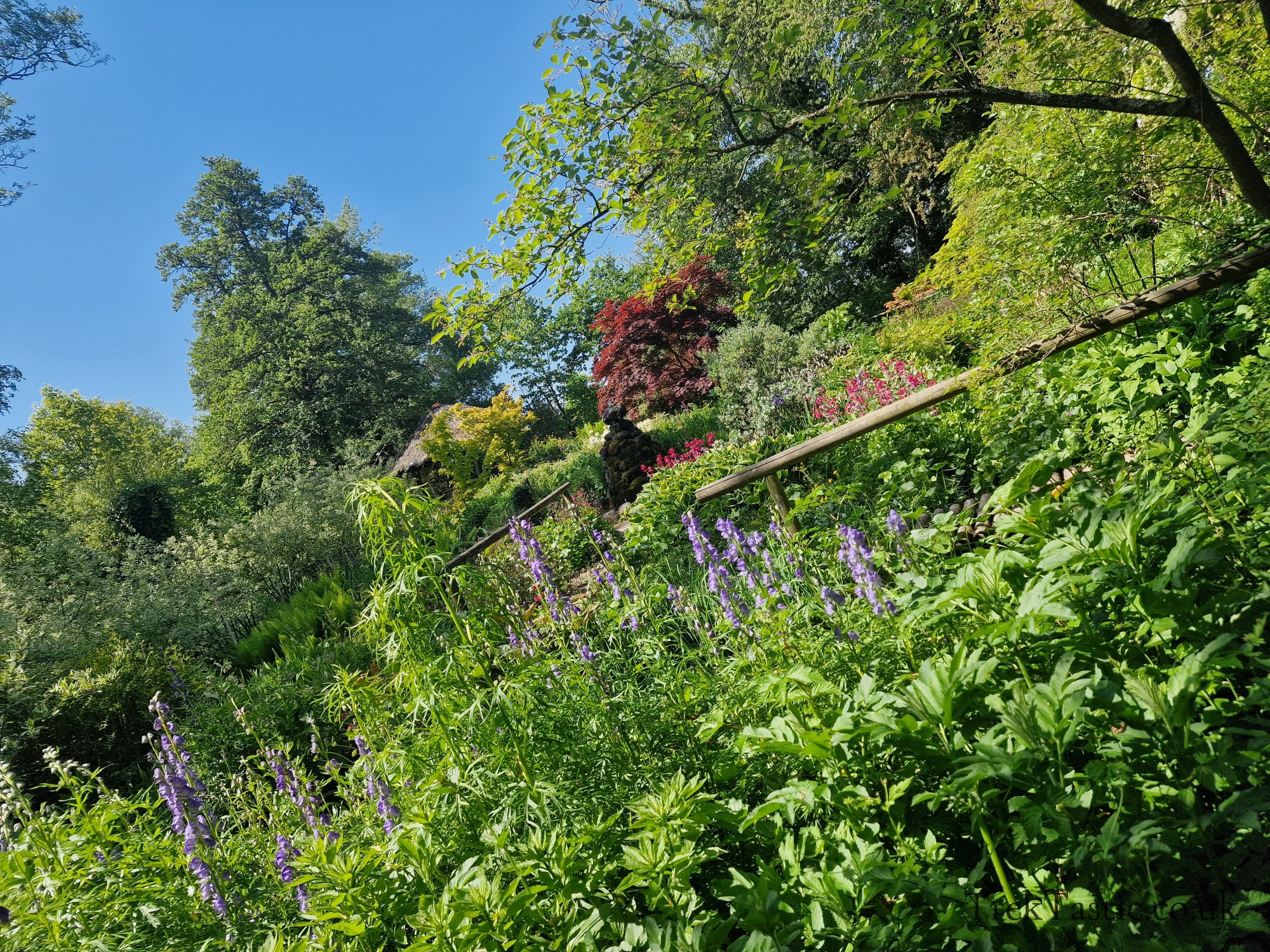 Westonbury Mill Water Gardens gallery image 54