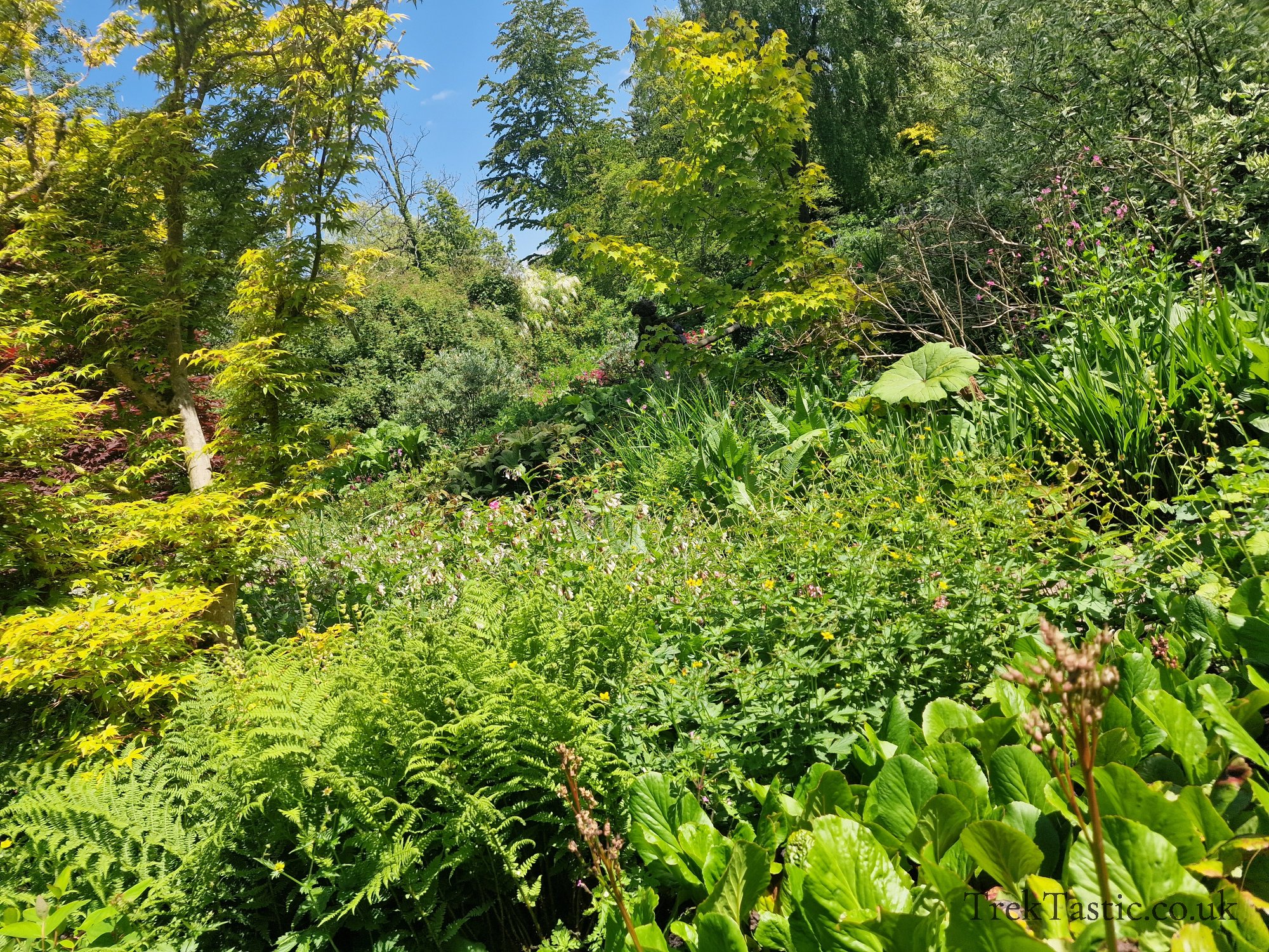 Westonbury Mill Water Gardens gallery image 57