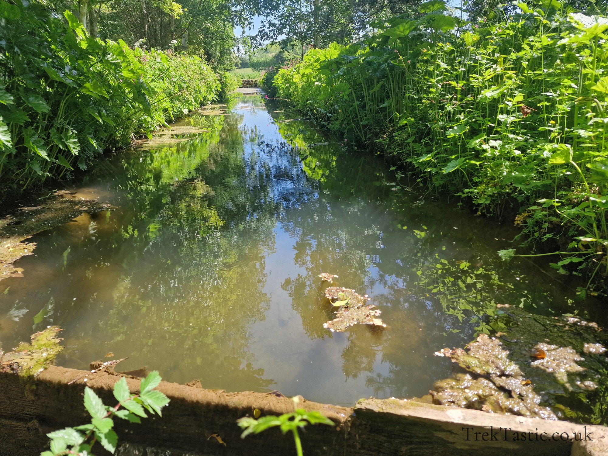 Westonbury Mill Water Gardens gallery image 61