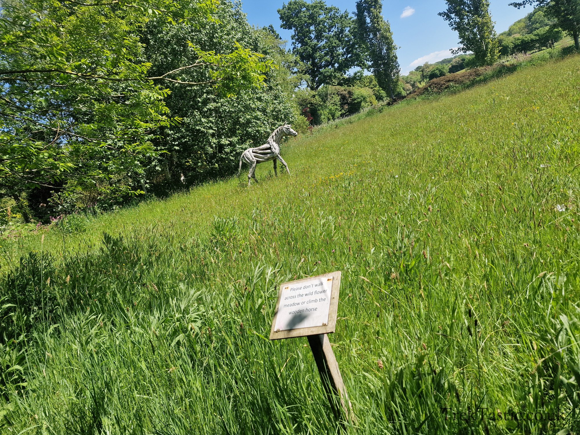 Westonbury Mill Water Gardens gallery image 63
