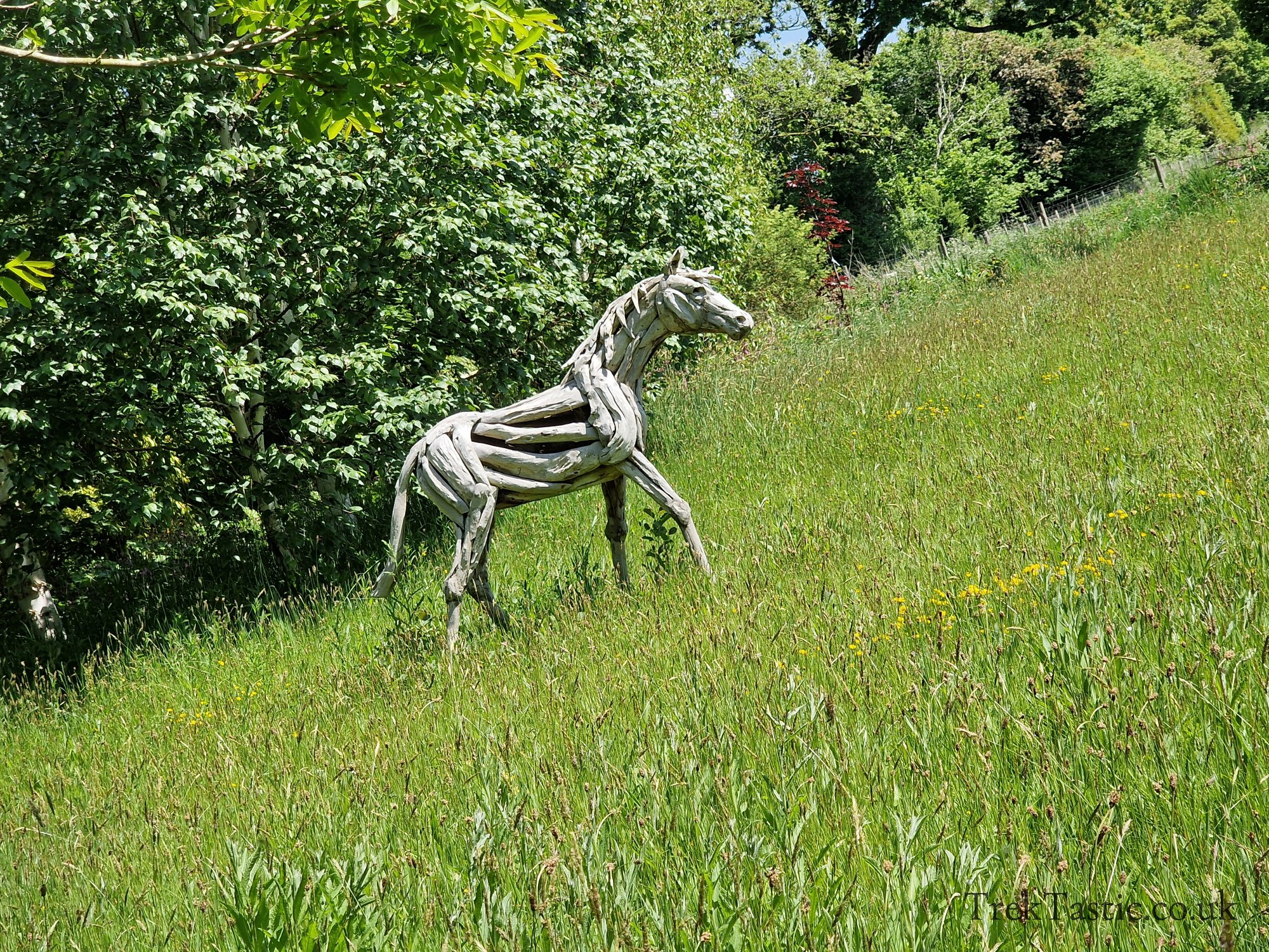 Westonbury Mill Water Gardens gallery image 64