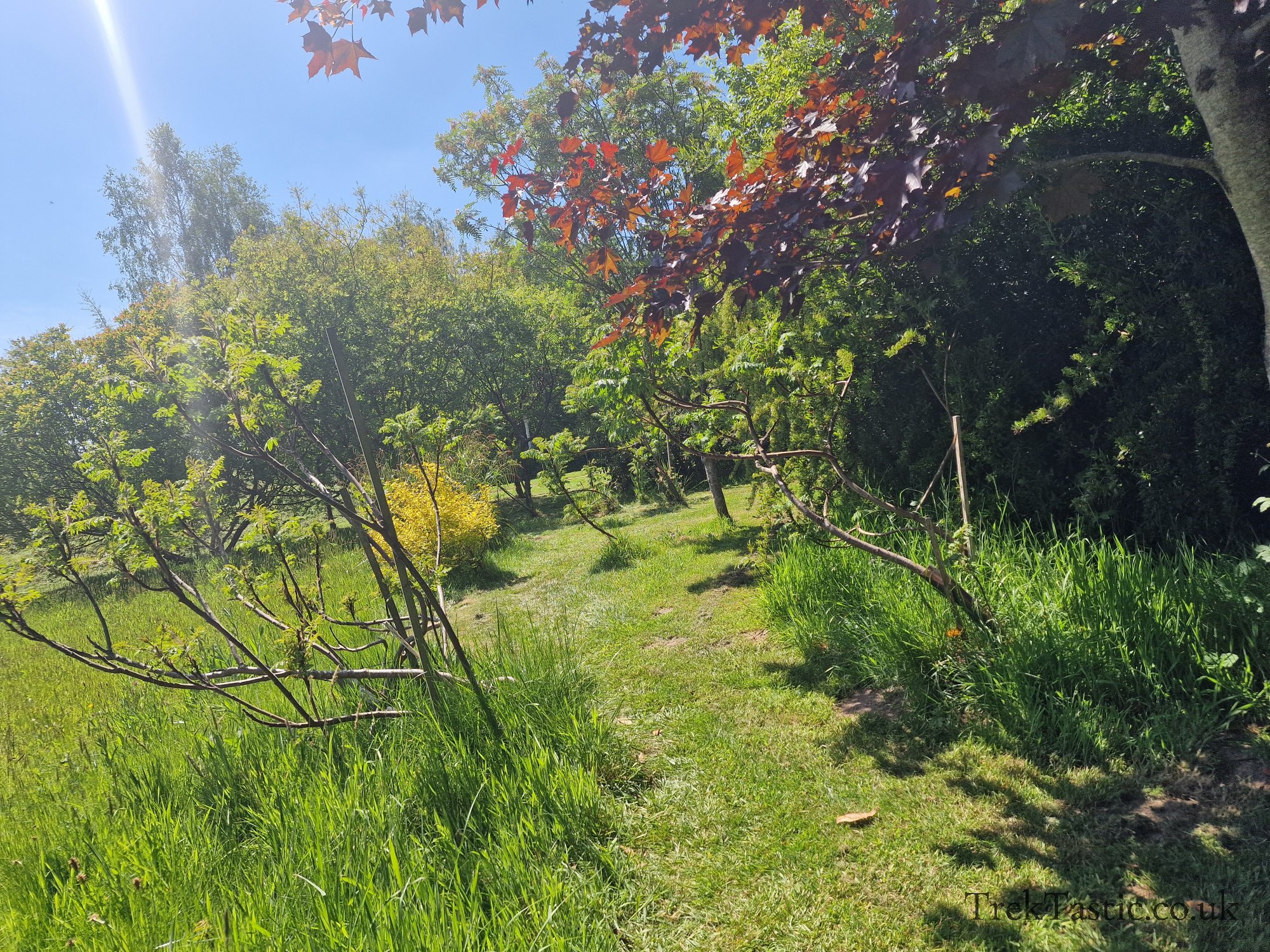 Westonbury Mill Water Gardens gallery image 65
