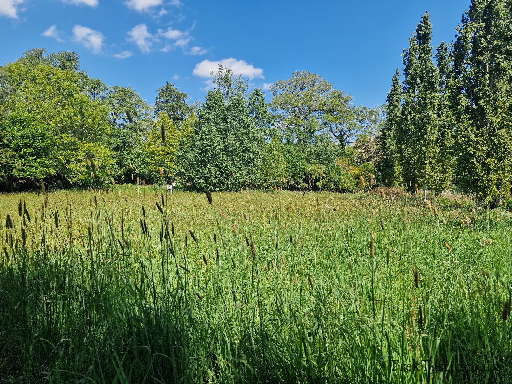 Westonbury Mill Water Gardens gallery image 67