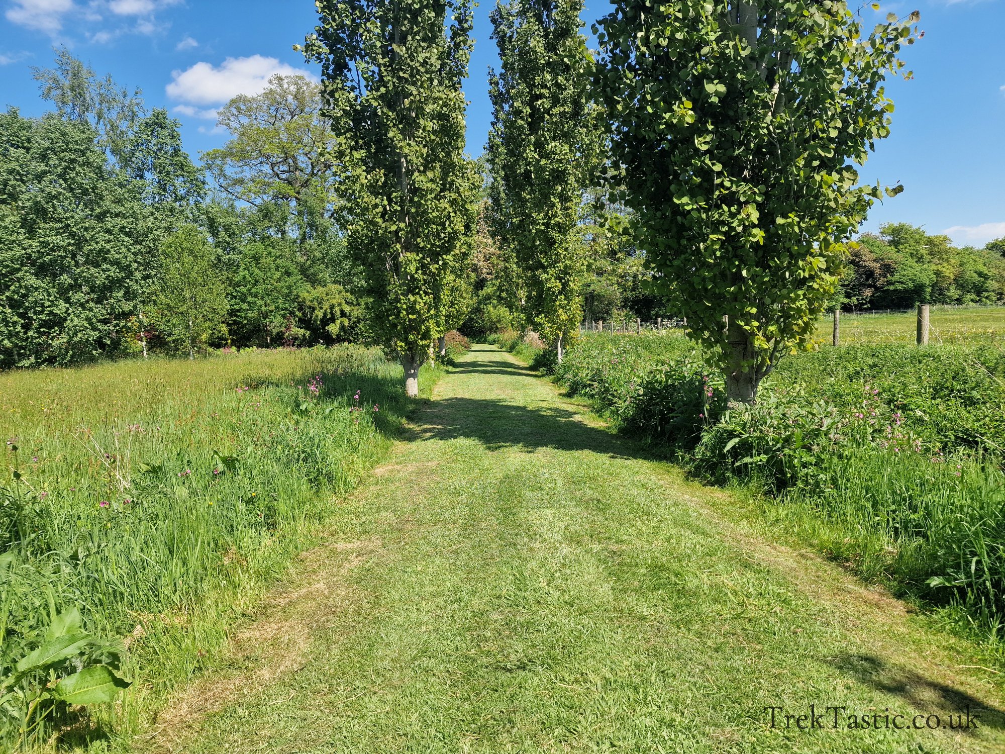 Westonbury Mill Water Gardens gallery image 68