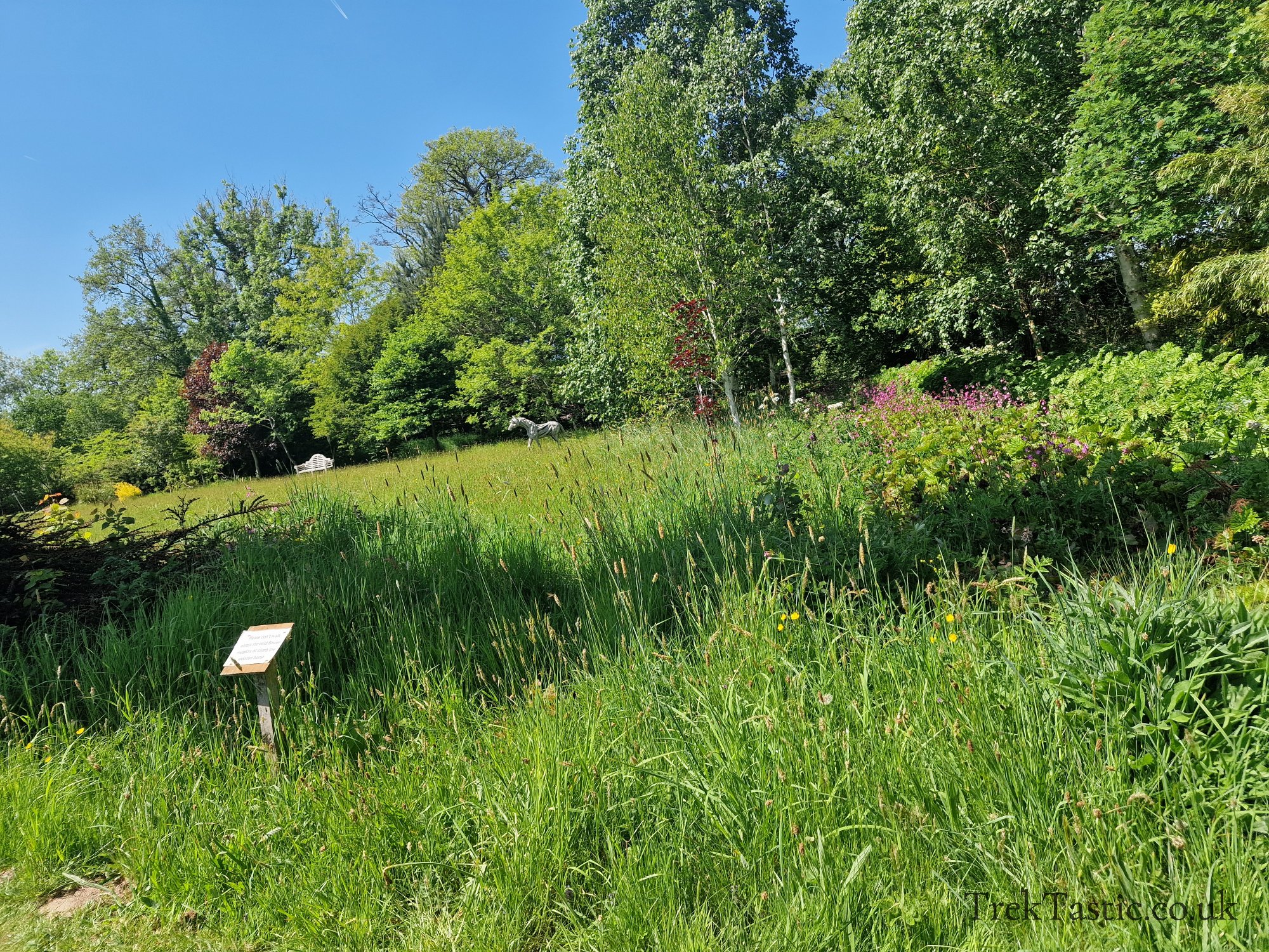 Westonbury Mill Water Gardens gallery image 69